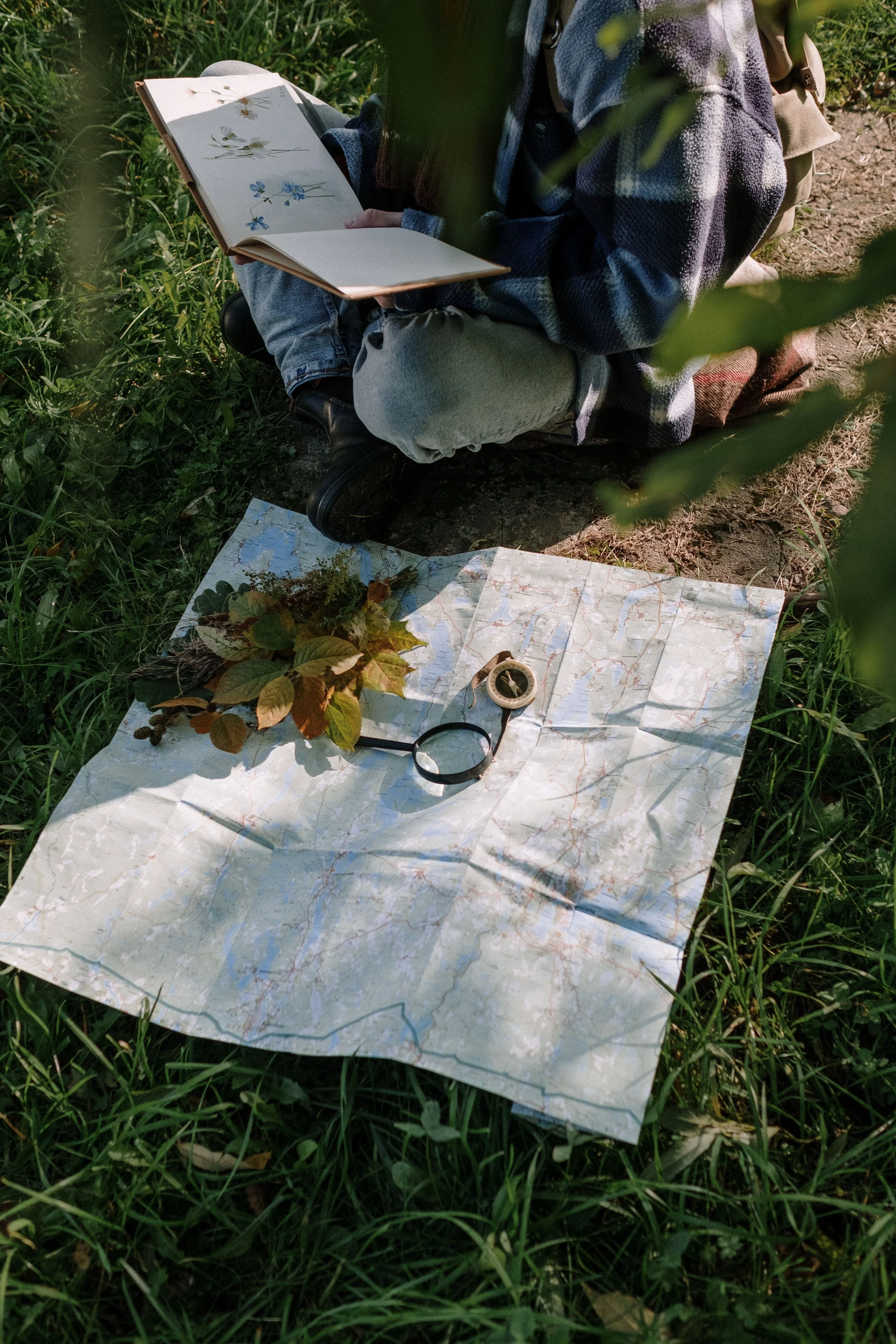 Outdoor field-learning materials arranged on the grass.