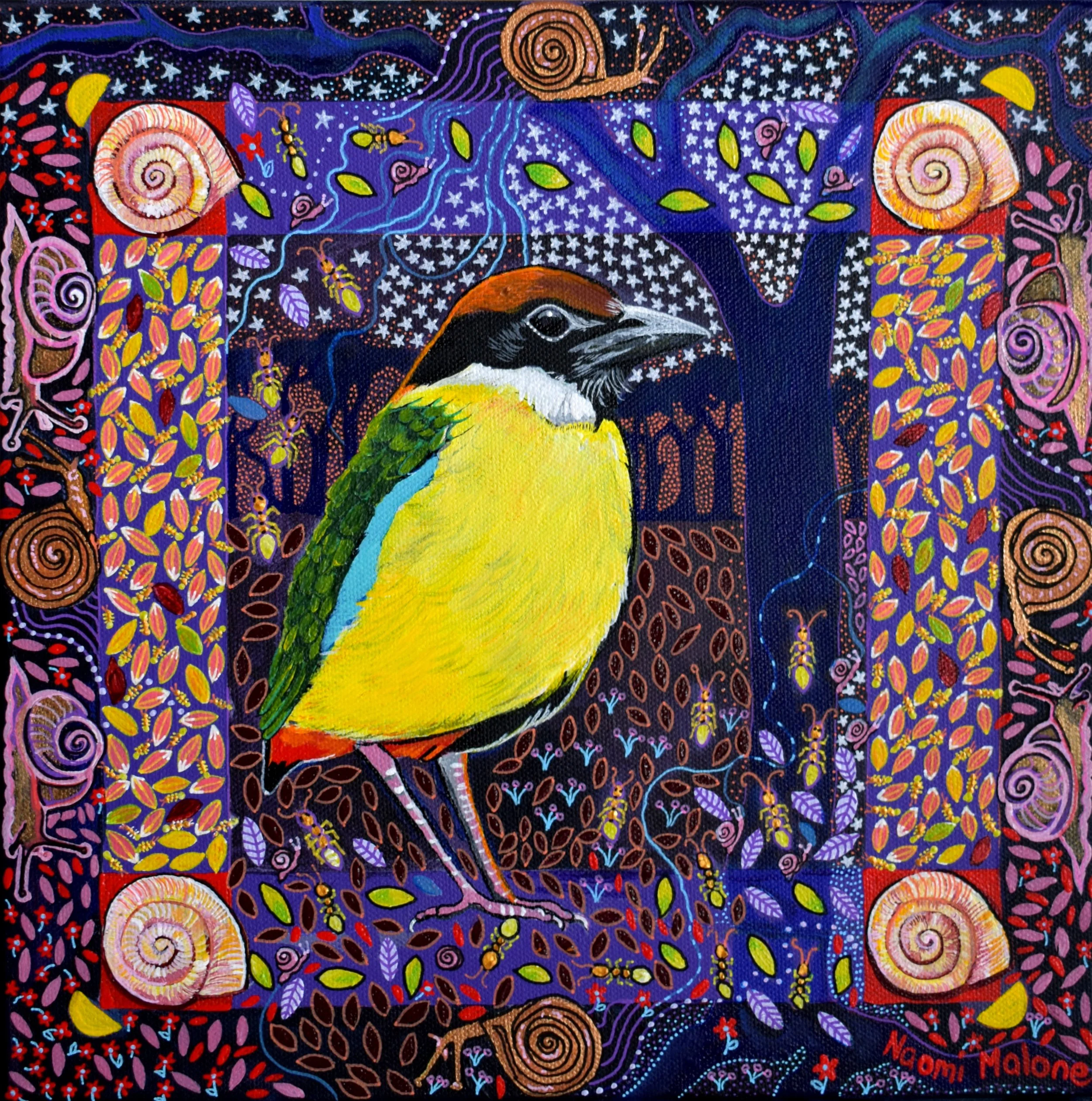 NOISY PITTA IN THE LEAF LITTER.jpg