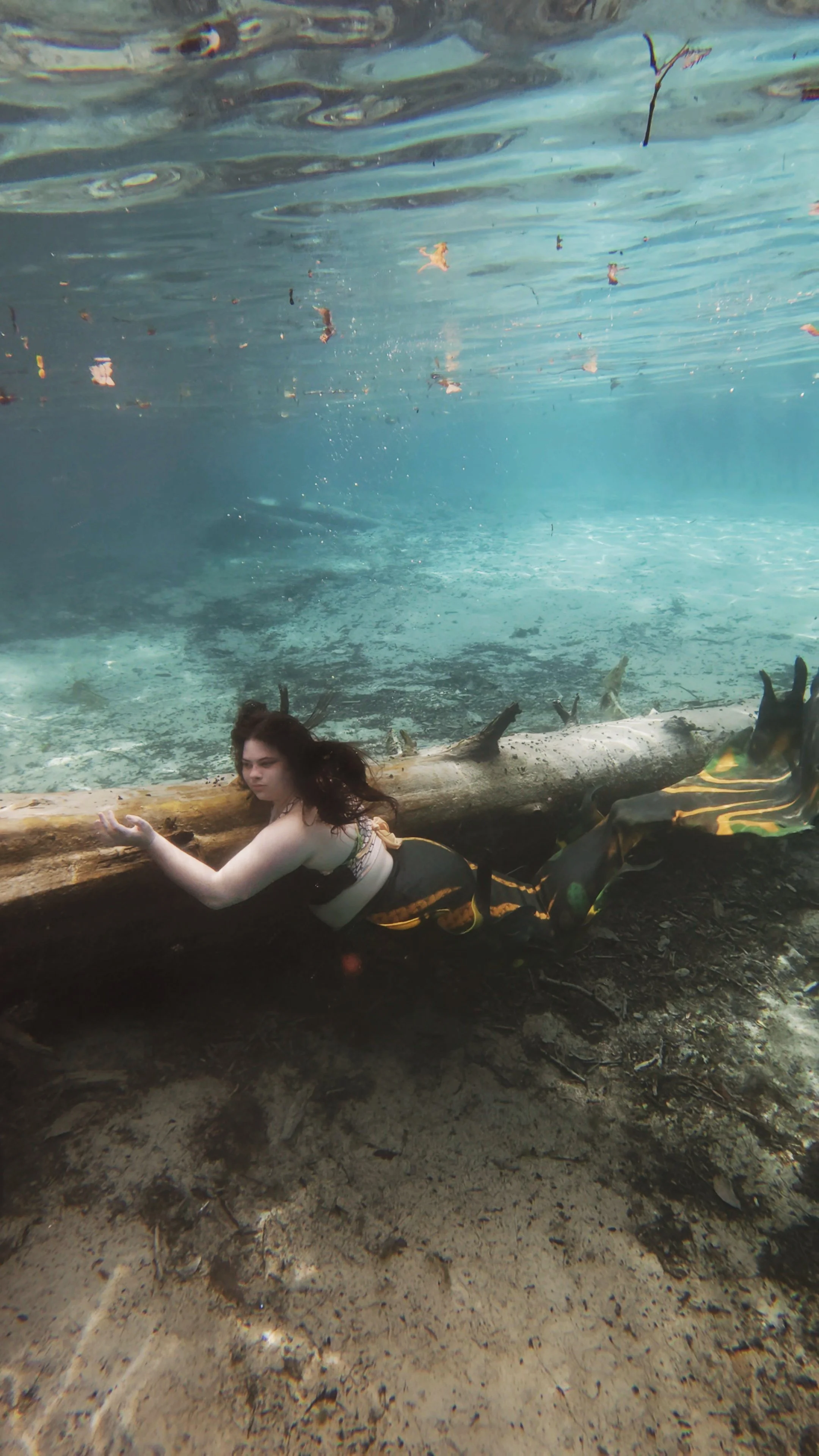 Log unseen bayou photo.jpg