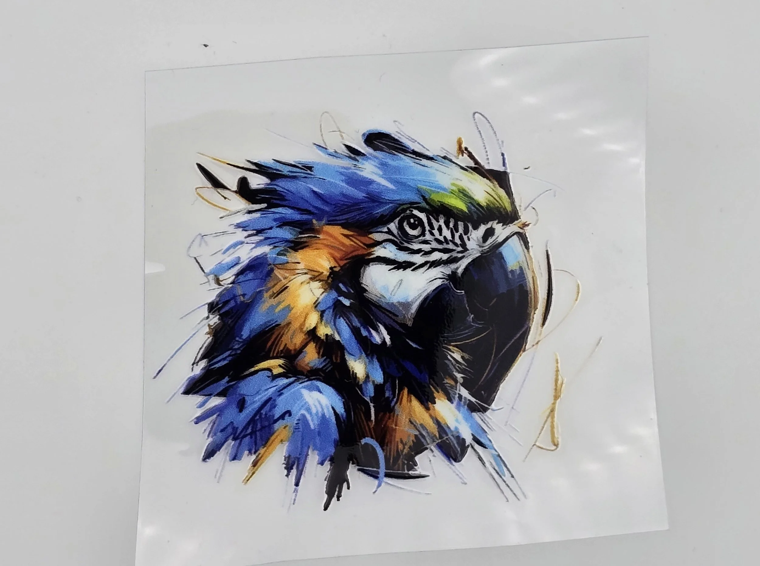 Stickers - Animals - Other