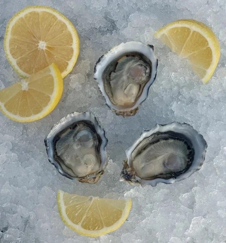 IMG_20251119_142438_552~2.jpg (Copy)