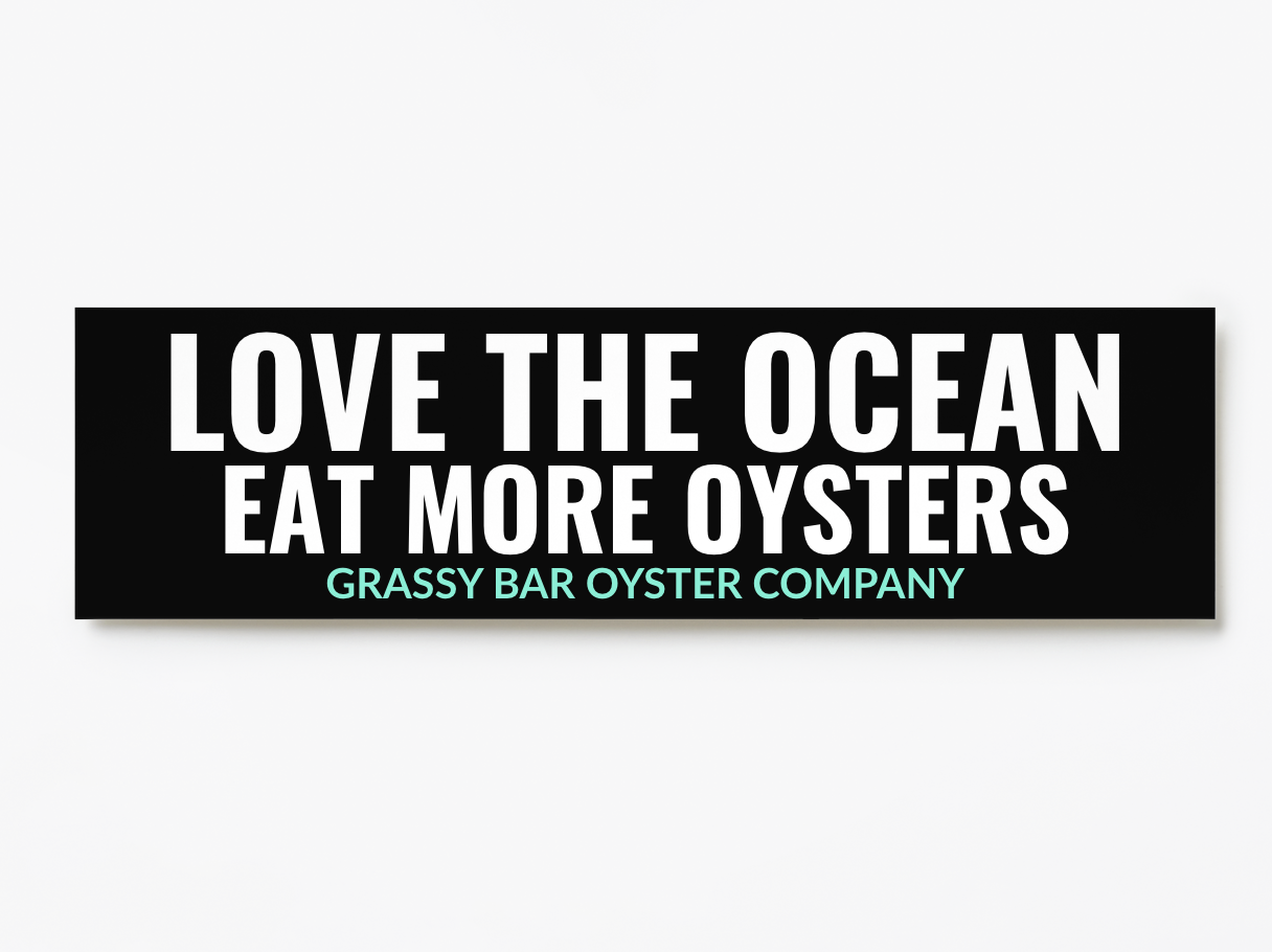 Bumper Sticker 1.png