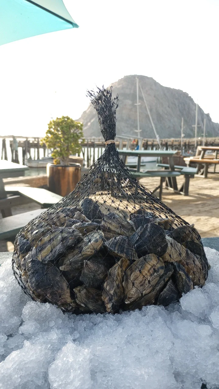 IMG_20251119_143409_858.webp (Copy)