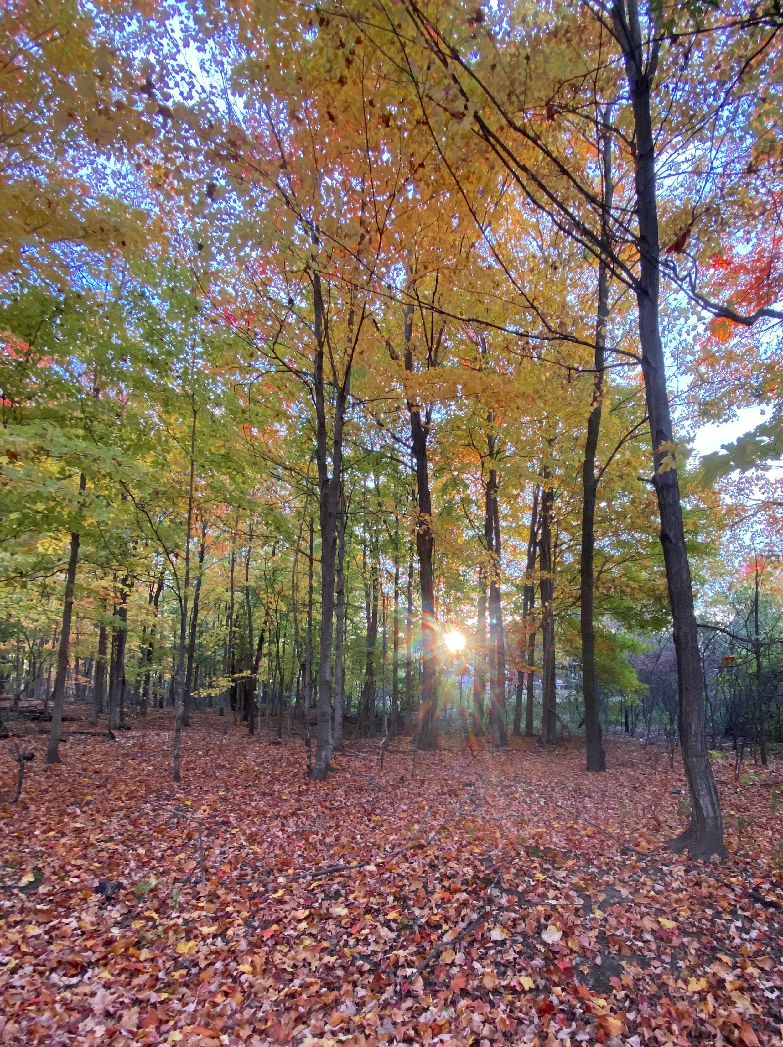 Extended Energy Healing Session (75 minutes) $187.50