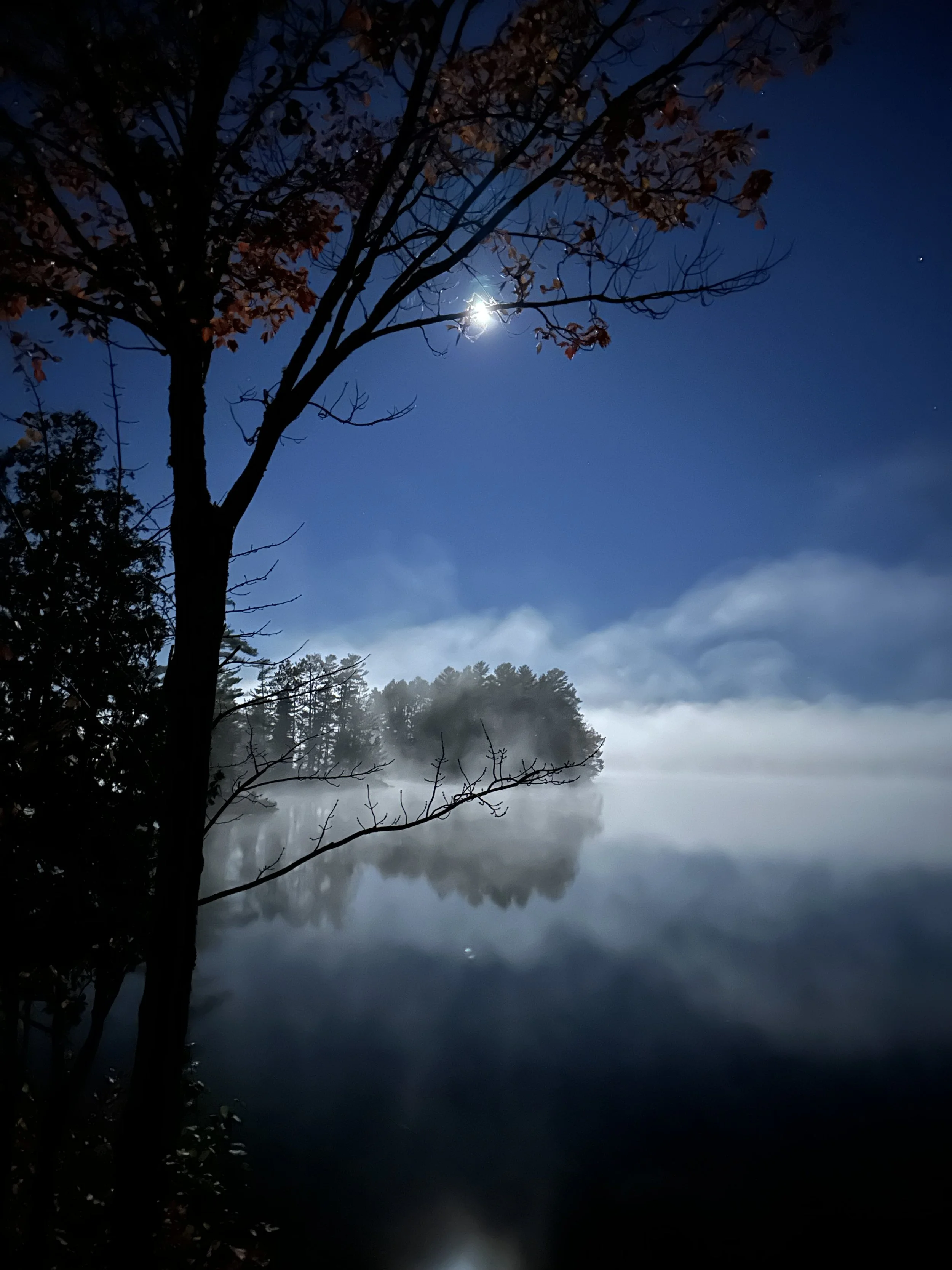 Packages (60-Minute Sessions)