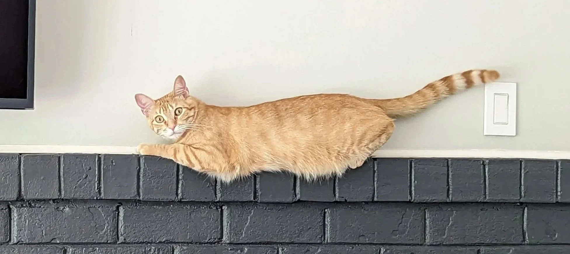 Orange tabby cat lying on a black brick fireplace mantel, looking toward the camera with yellow eyes, against a white wall with a light switch.