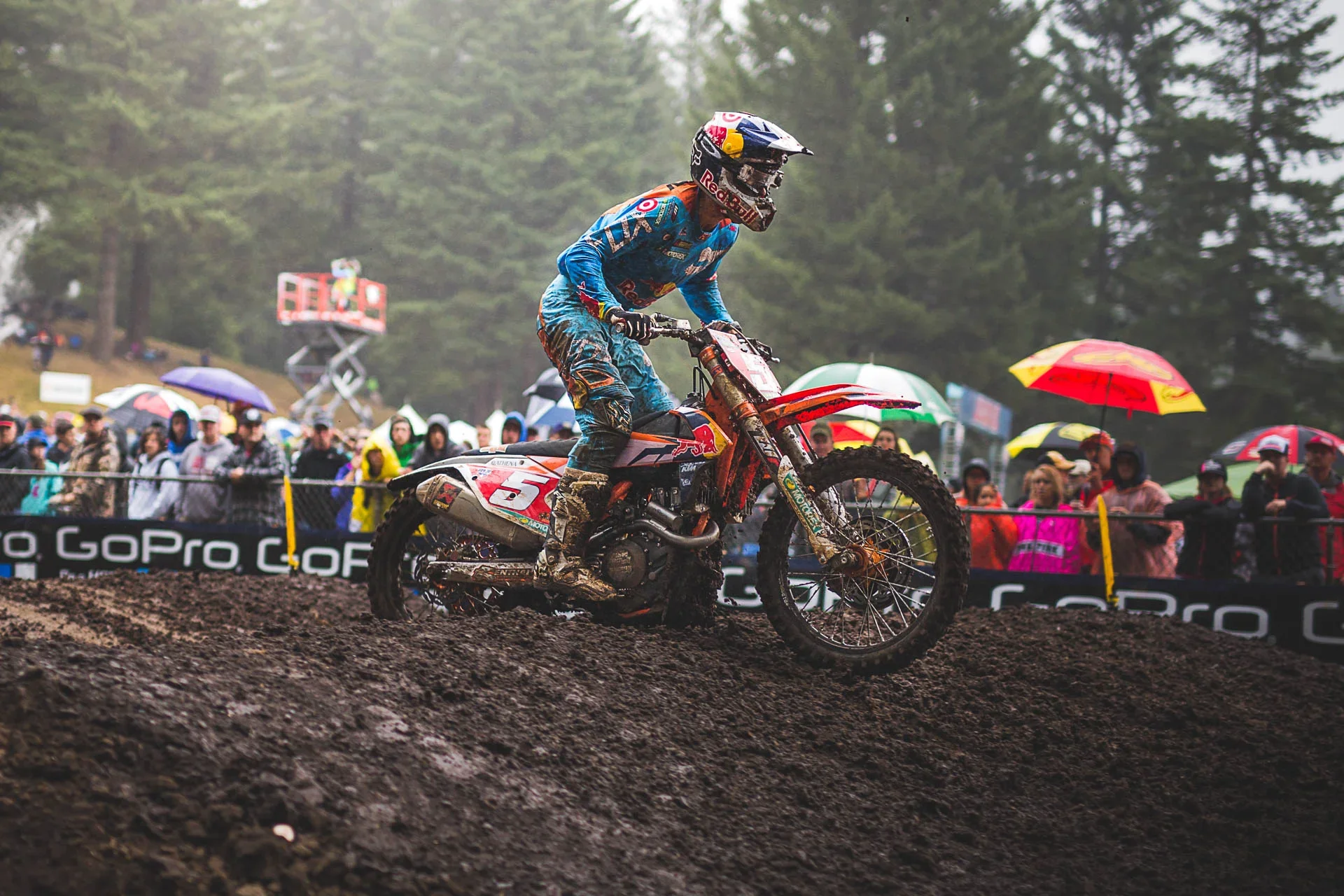 ryan_dungey_photo_jimmy_Bowron_1224-1.webp