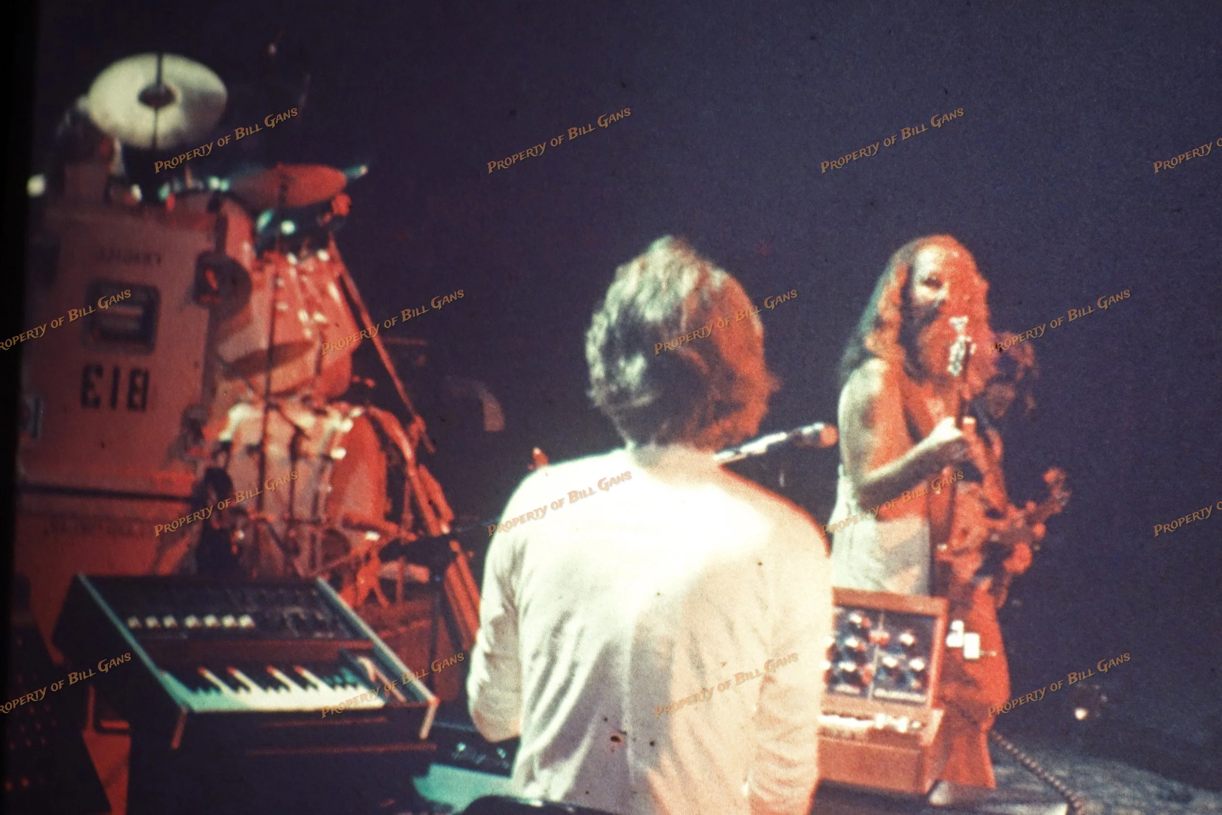 slide 269 leland.jpg