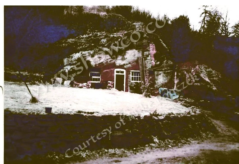 THE FARM_1.jpg