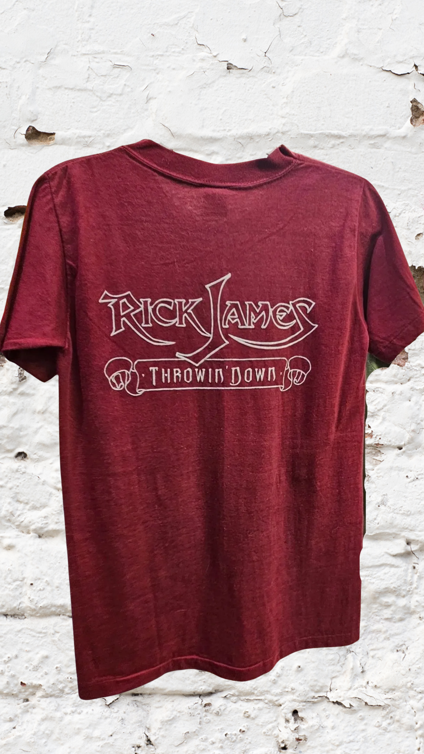 1982 SHOWCO RARE Rick James Throwin' Down Tour - courtesy of Mike Ponczek