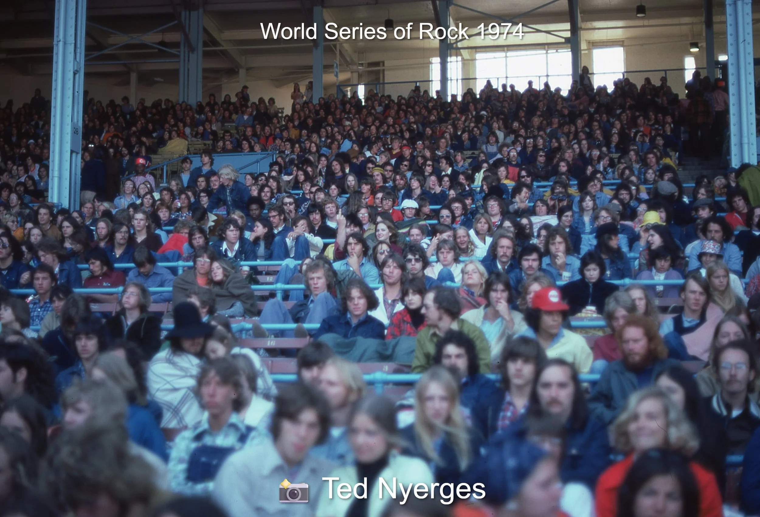 image-1323144526436947.jpg