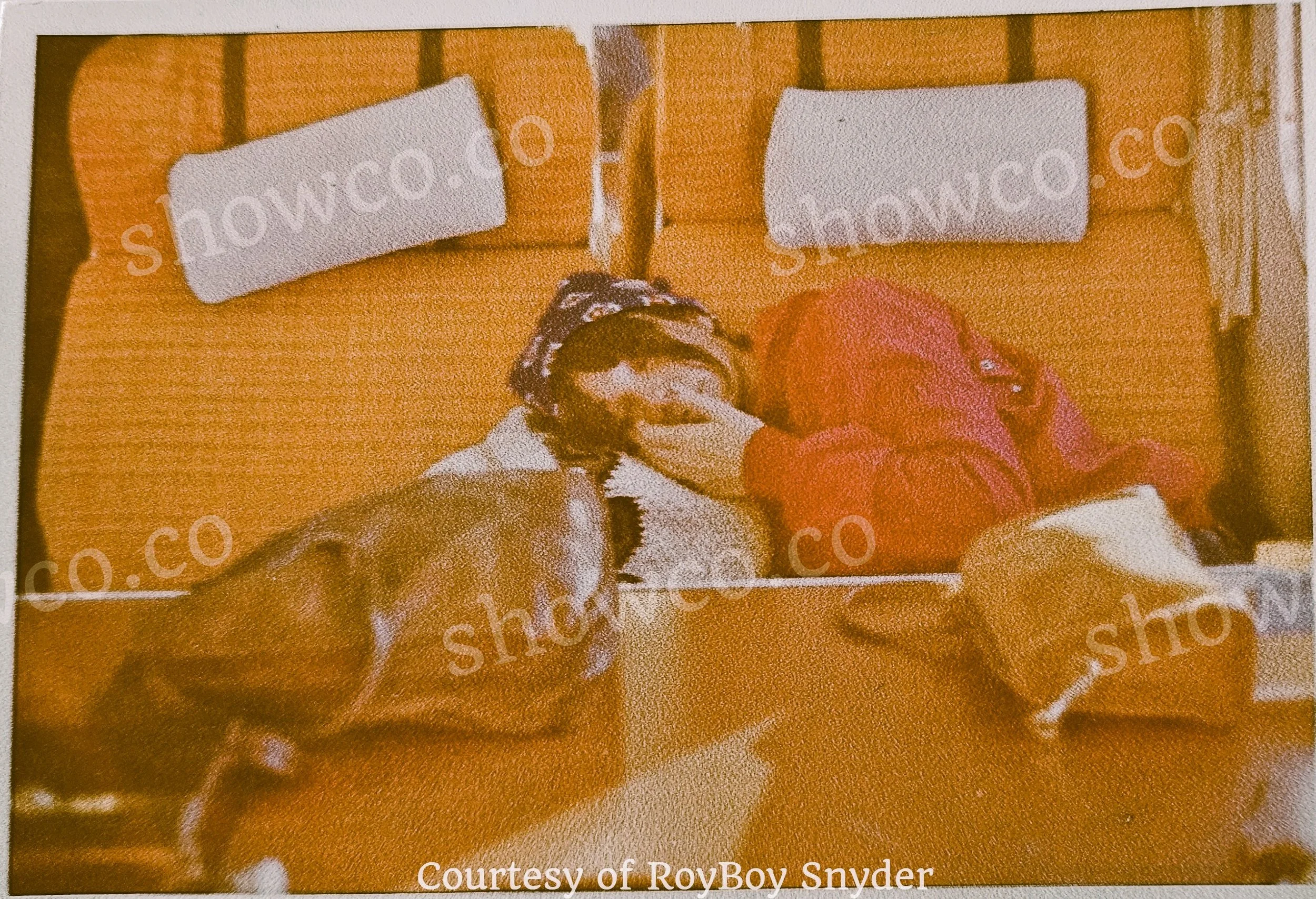 LINDA RONSTADT-SLEEPING-SNYDER (3).jpg