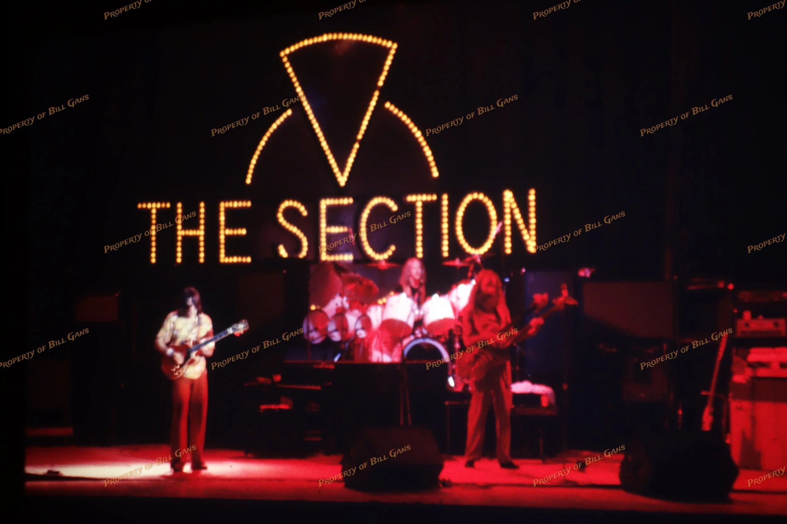 slide 303 the section.jpg