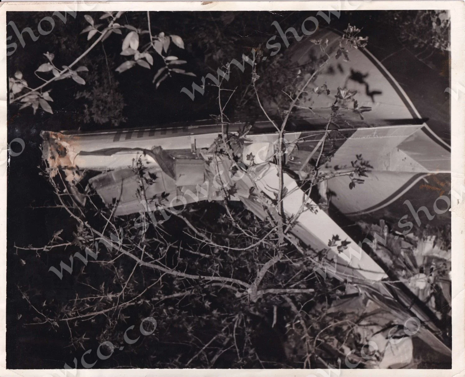LYNYRD SKYNYRD CRASH PHOTOS (6)_page-0001.jpg
