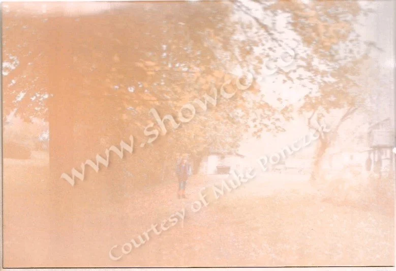 THE FARM_8_TONI.jpg