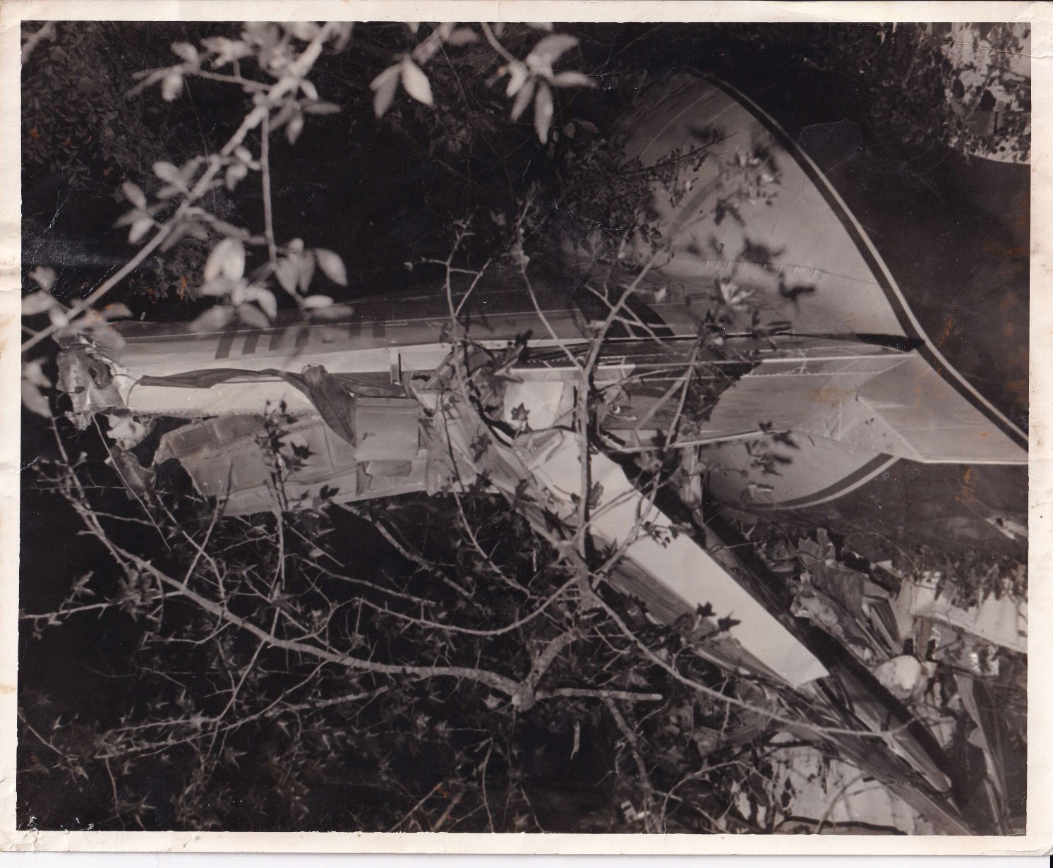 LYNYRD SKYNYRD CRASH PHOTOS (2)_page-0001 (1).jpg