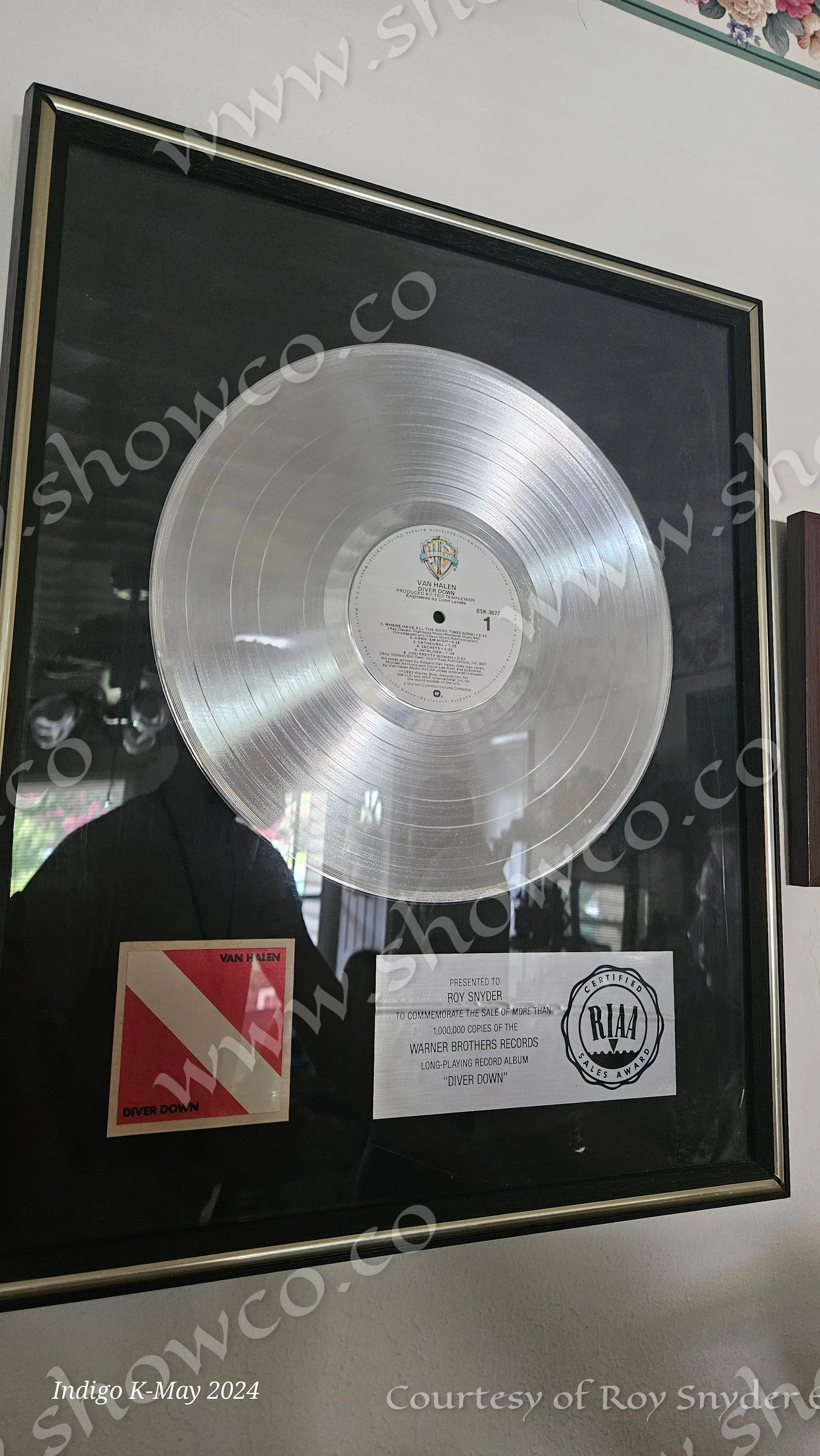 ROYS PLATINUM ALBUMS (2).jpg
