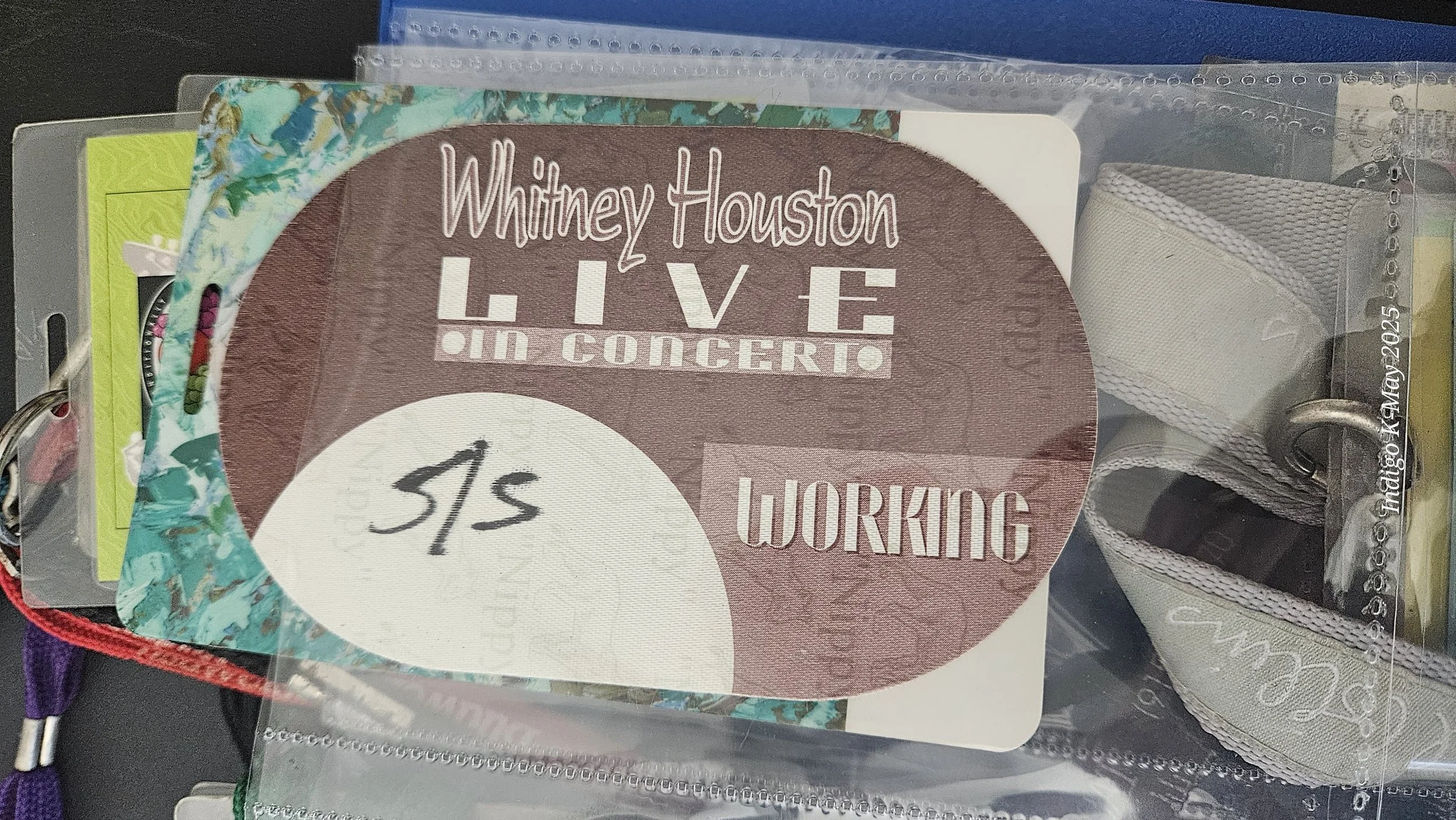 WHITNEY HOUSTON PASSES-JC (2).jpg