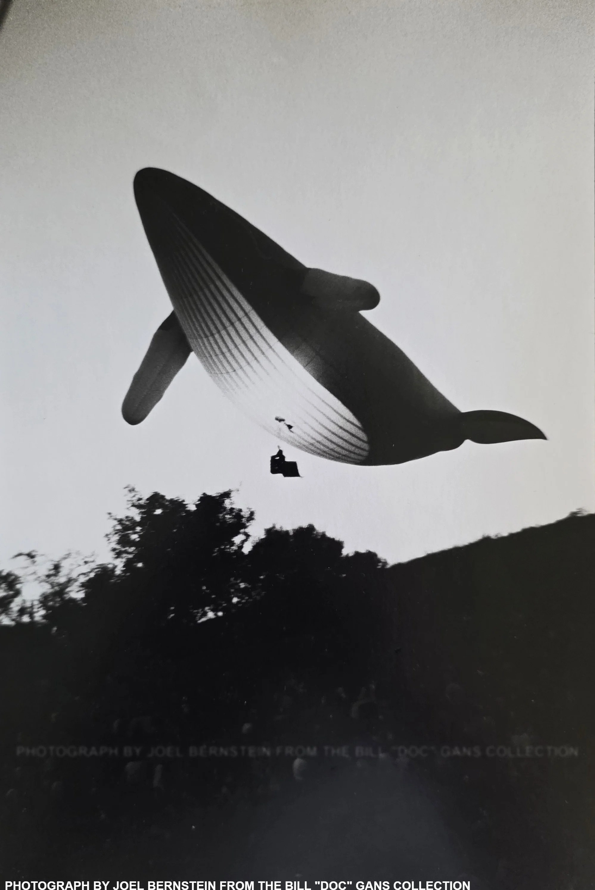 HUMPBACK WHALE BALLOON George Stokes - 1977 Earth Expo - San Fran? OR ABQ Balloon Festival