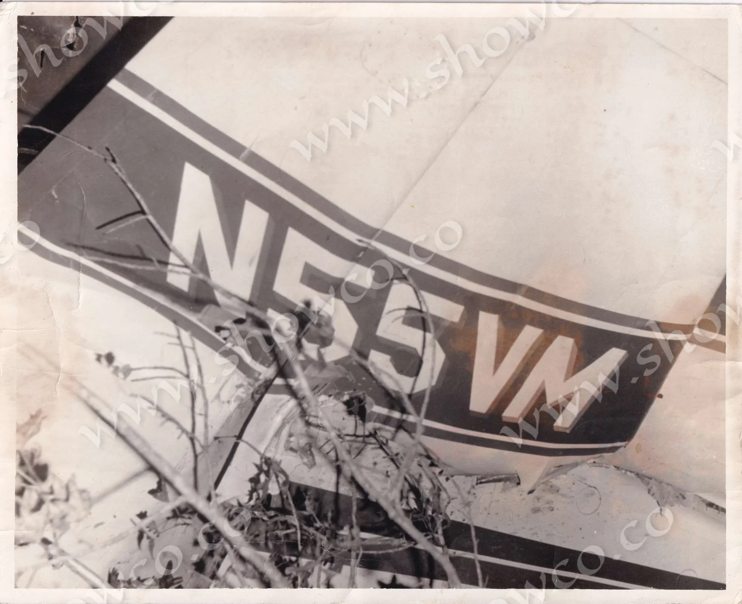 LYNYRD SKYNYRD CRASH PHOTOS (4)_page-0001.jpg