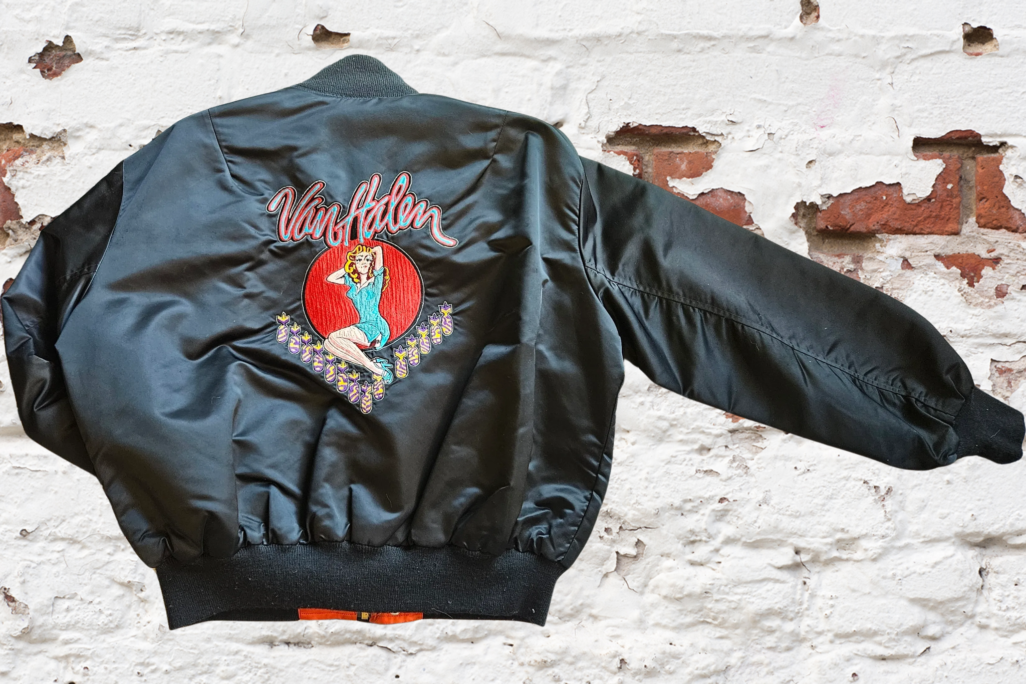 VAN HALEN-JOHNNY-BACK-JACKET.png
