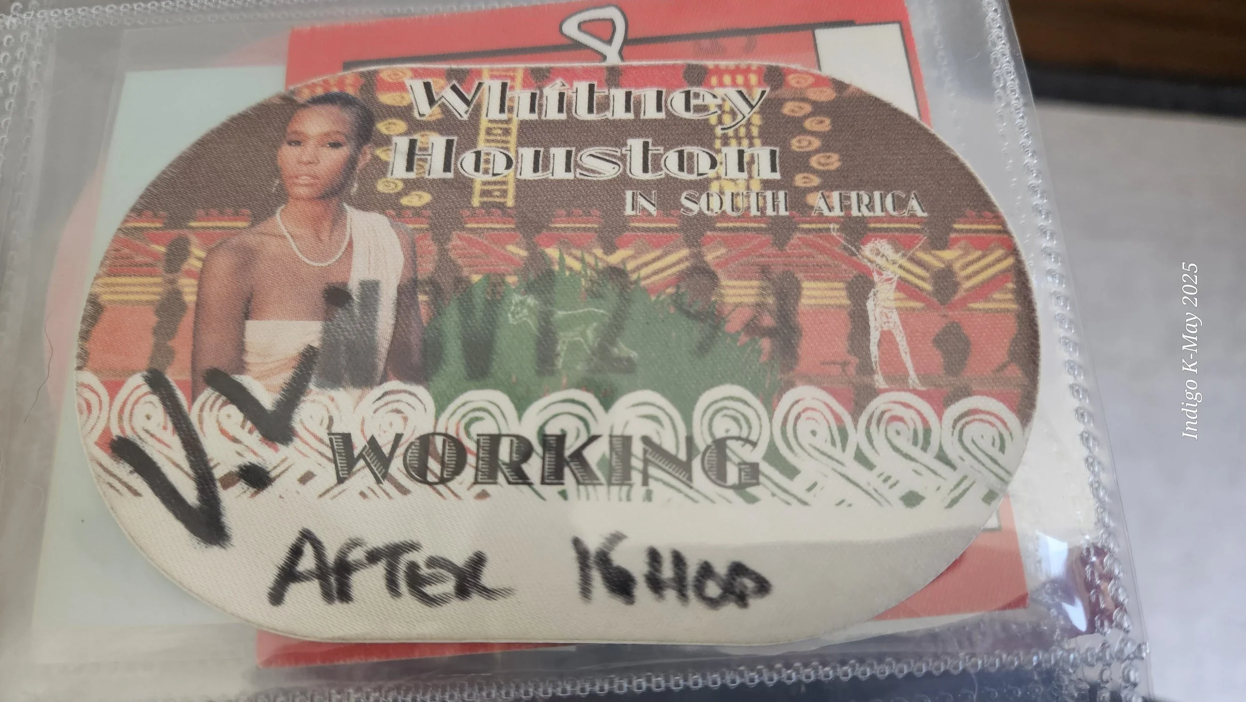 WHITNEY HOUSTON PASSES-JC (1).jpg
