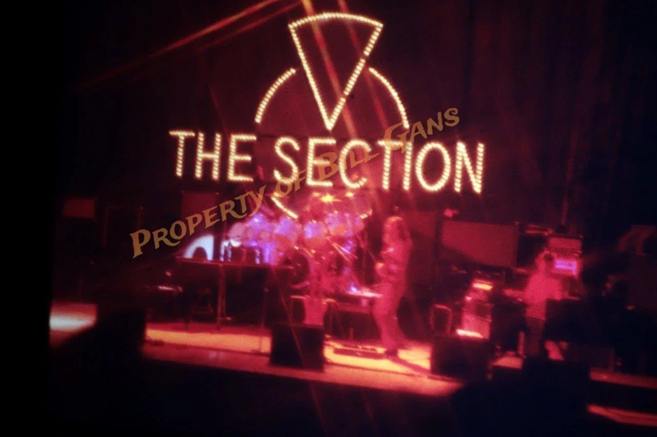 slide 298 the section.jpg