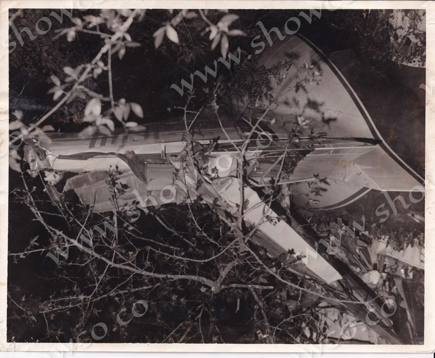 LYNYRD SKYNYRD CRASH PHOTOS (2)_page-0001.jpg