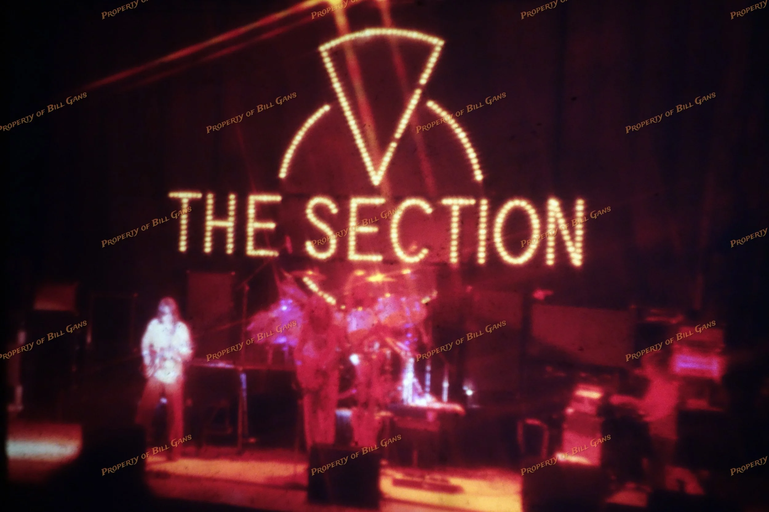 slide 302 the section.jpg