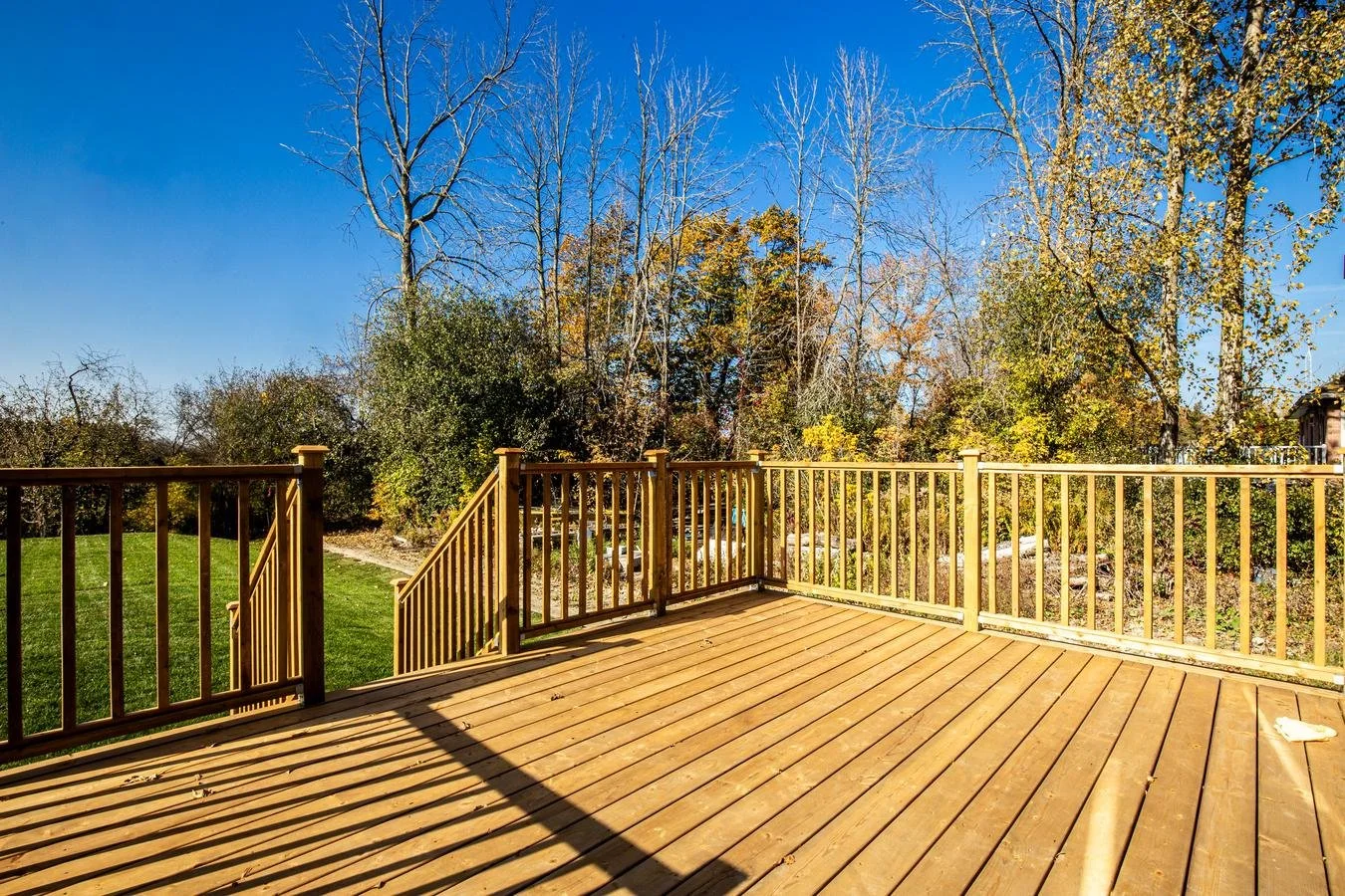 WhatsApp Image 2025-09-30 at 3.29.07 PM.jpeg