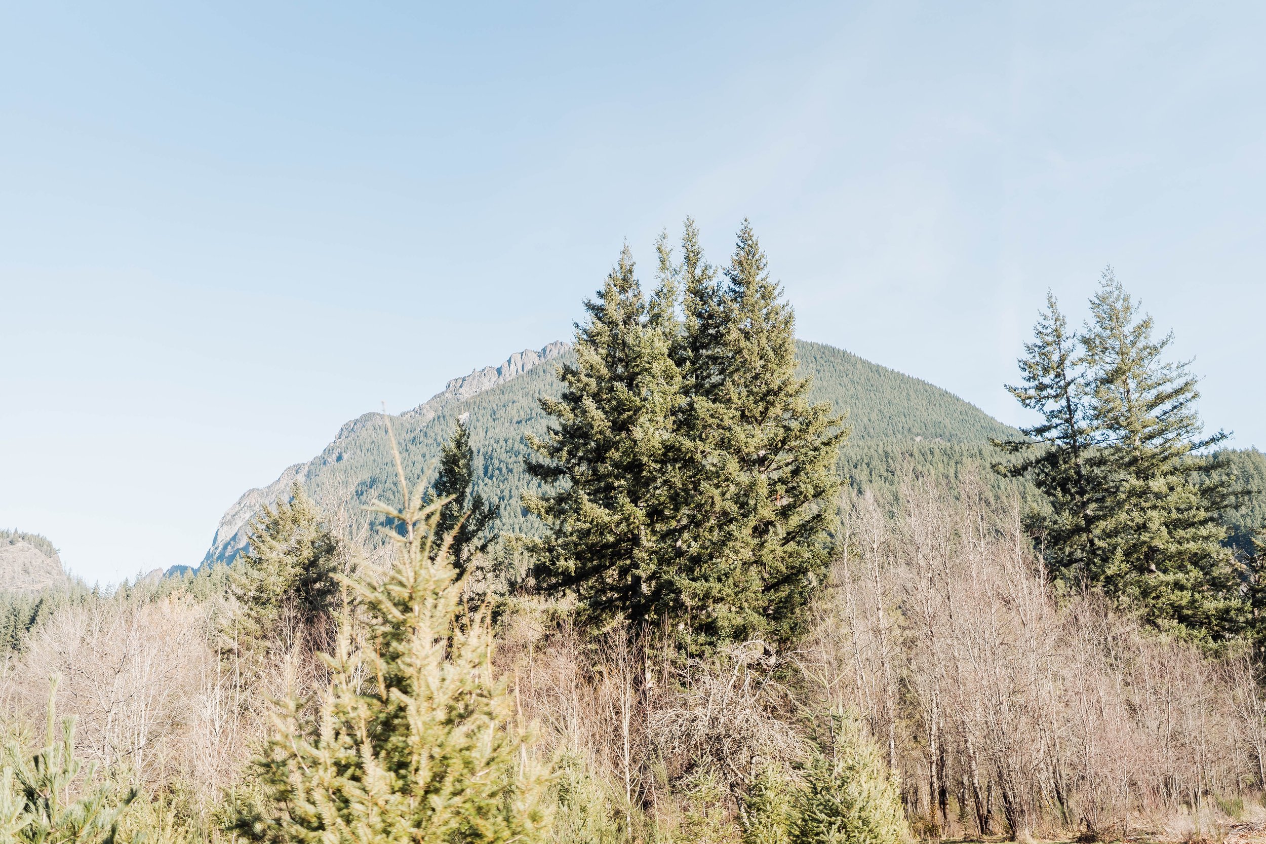 DSC05458 7.22.39 PM.jpg