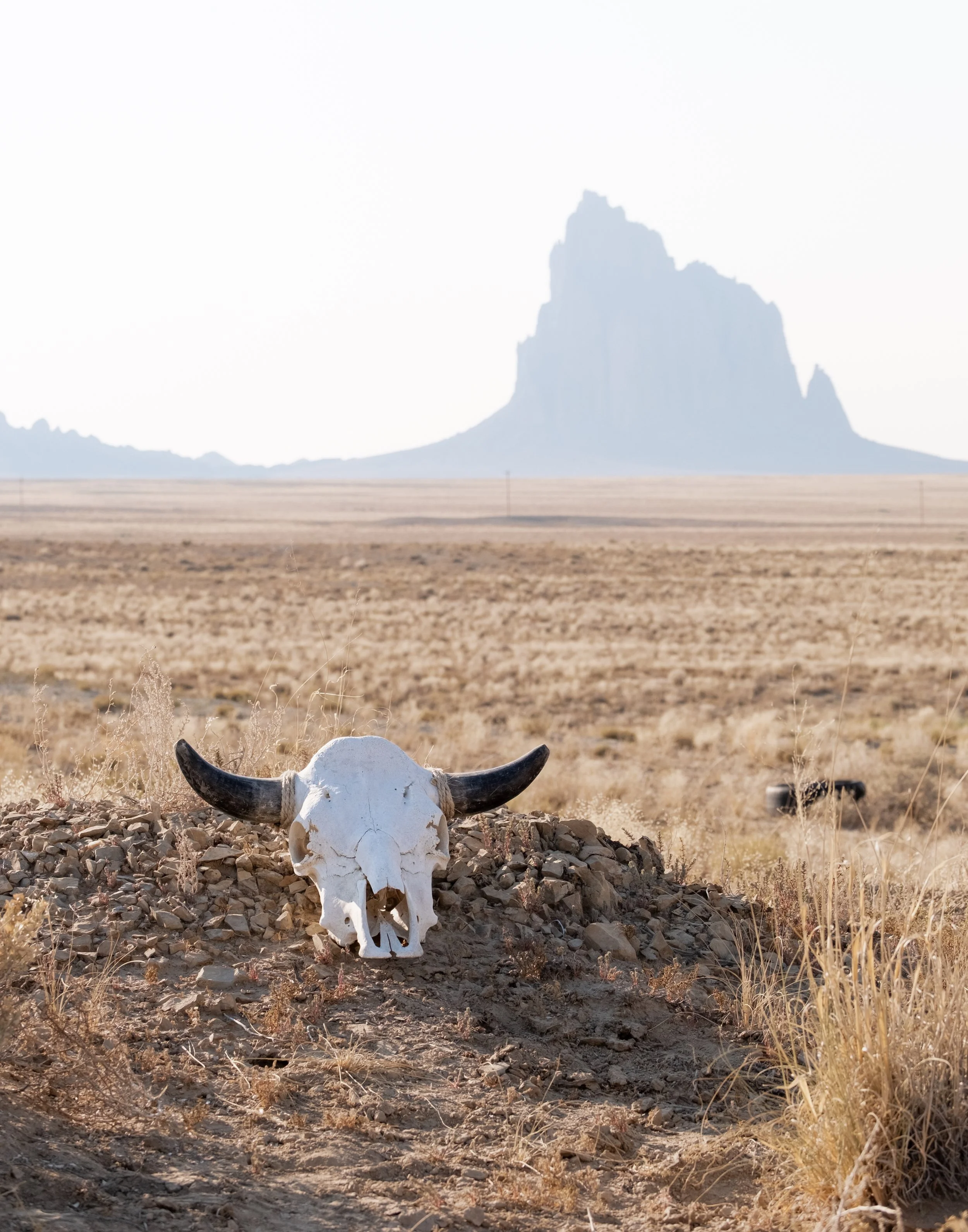 Tsé Bitʼaʼí (Rock With Wings).jpg