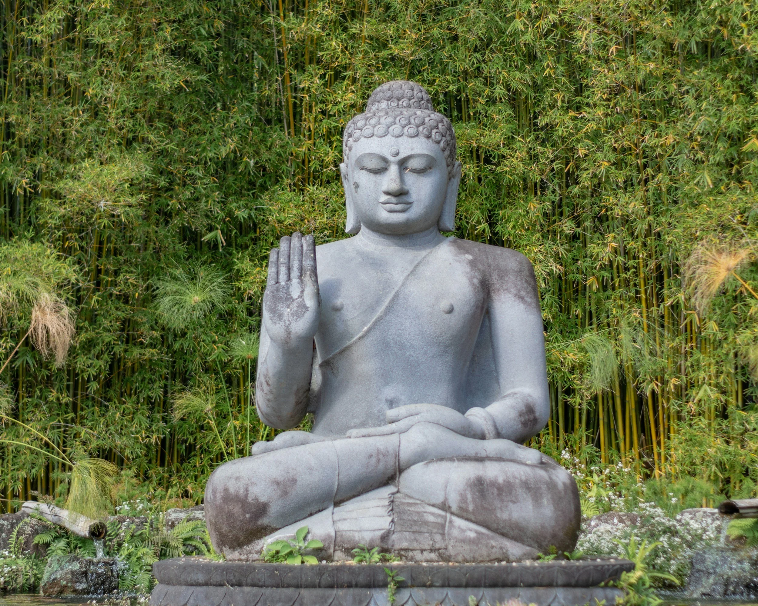 Stone statue of Buddha in a meditative pose with one hand raised in blessing, set against lush green bamboo plants.
