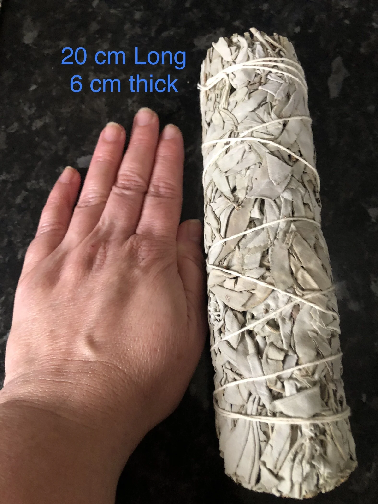 IMG_3760.JPEG