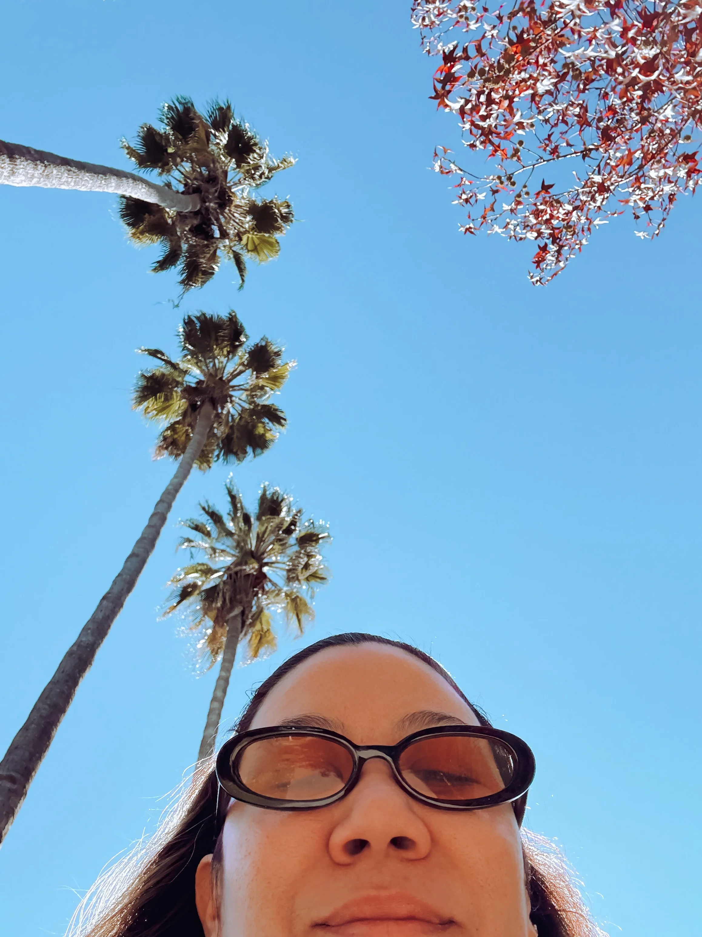 The visibility conundrum