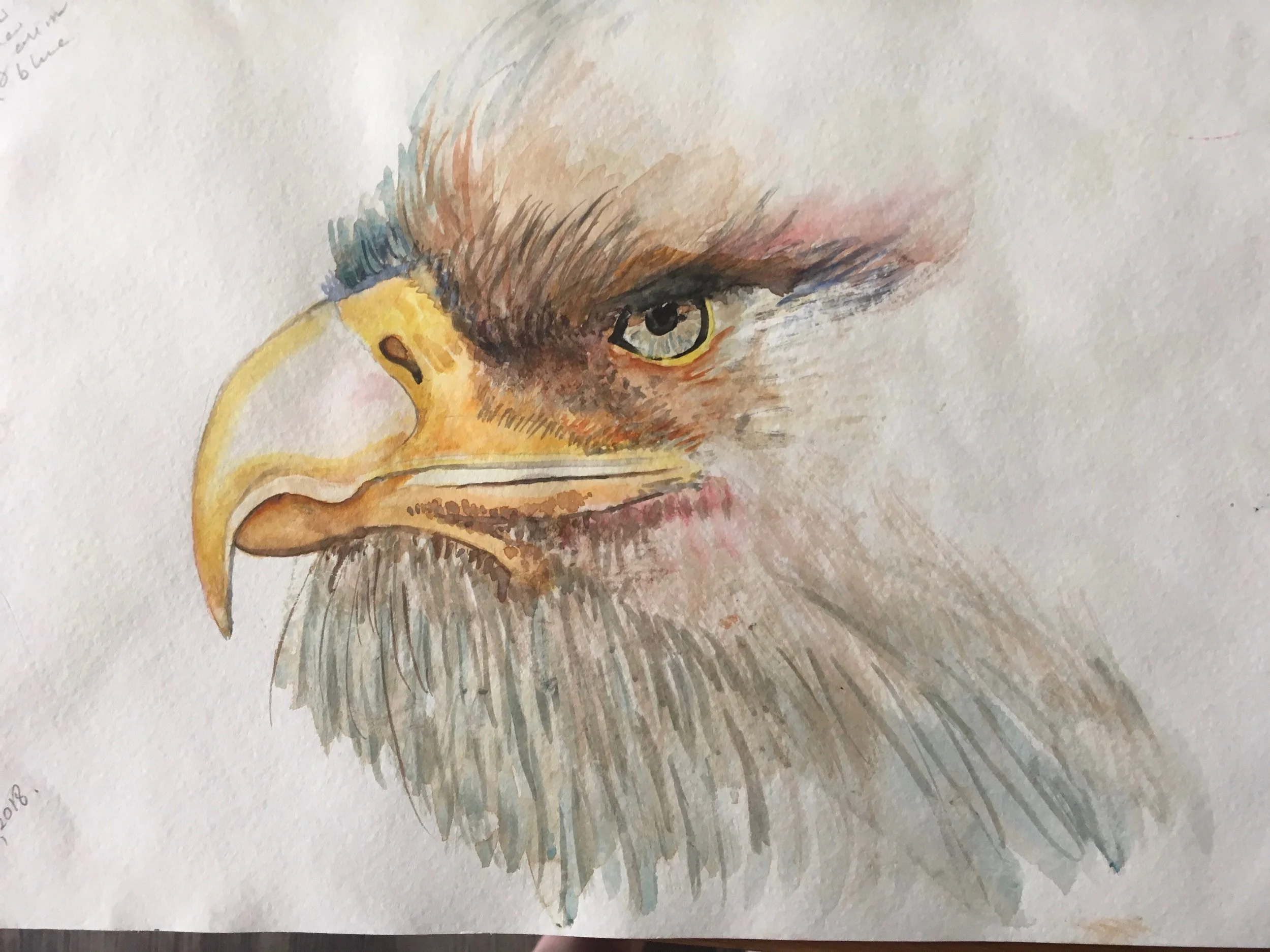 Eagle Rising Watercolour
