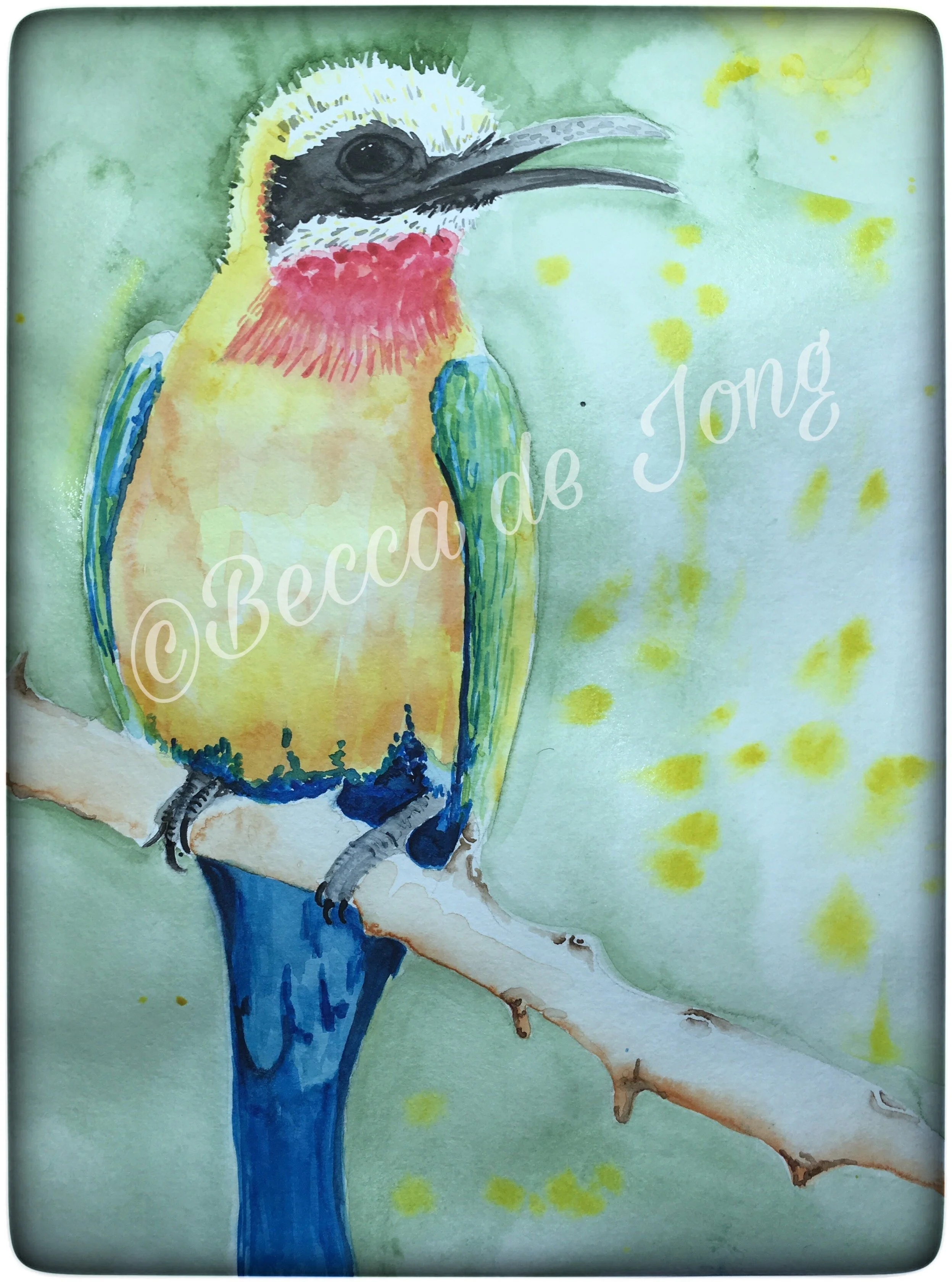 Bee Eater Watercolour