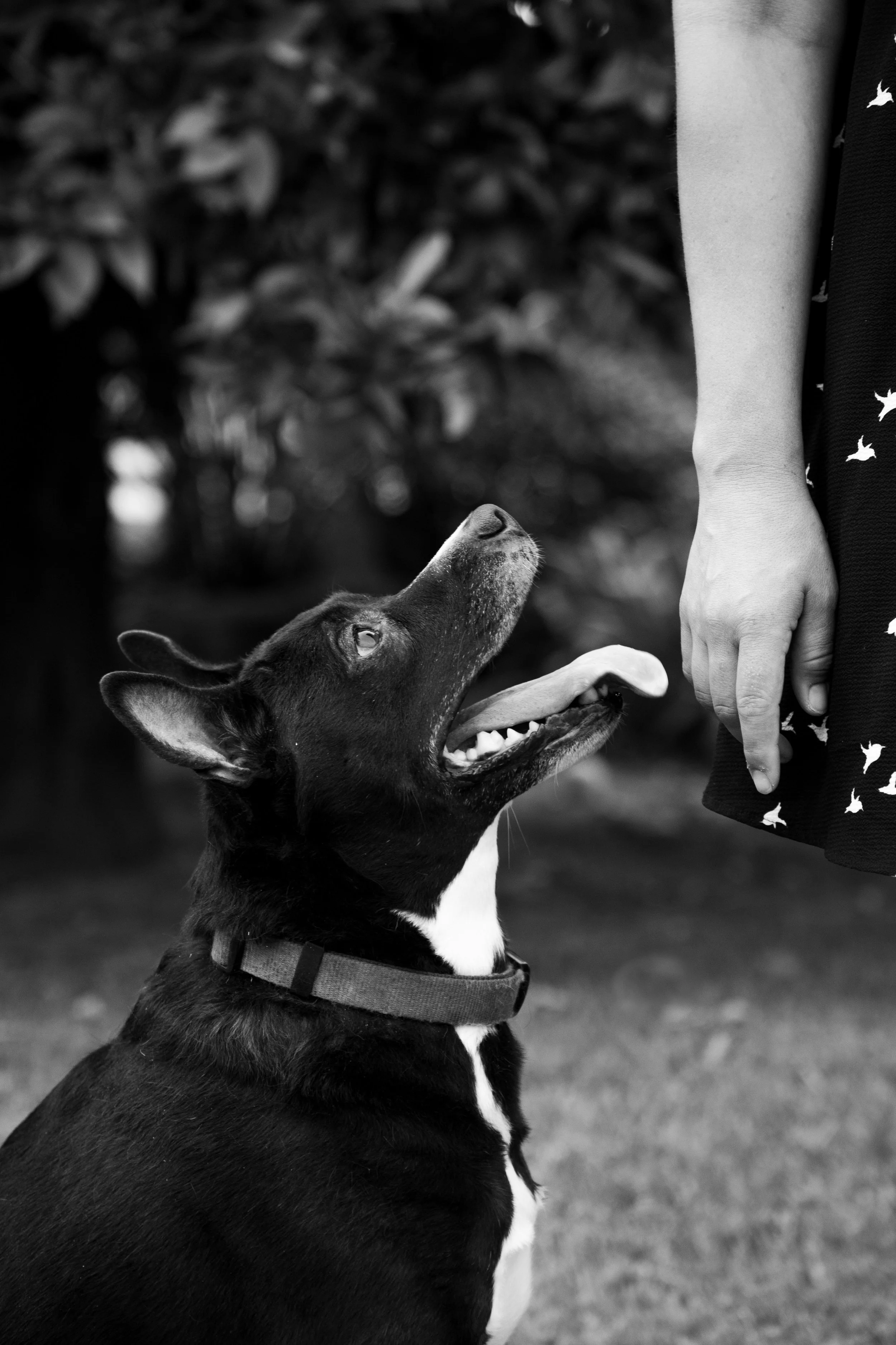 Private 1 on 1 Training