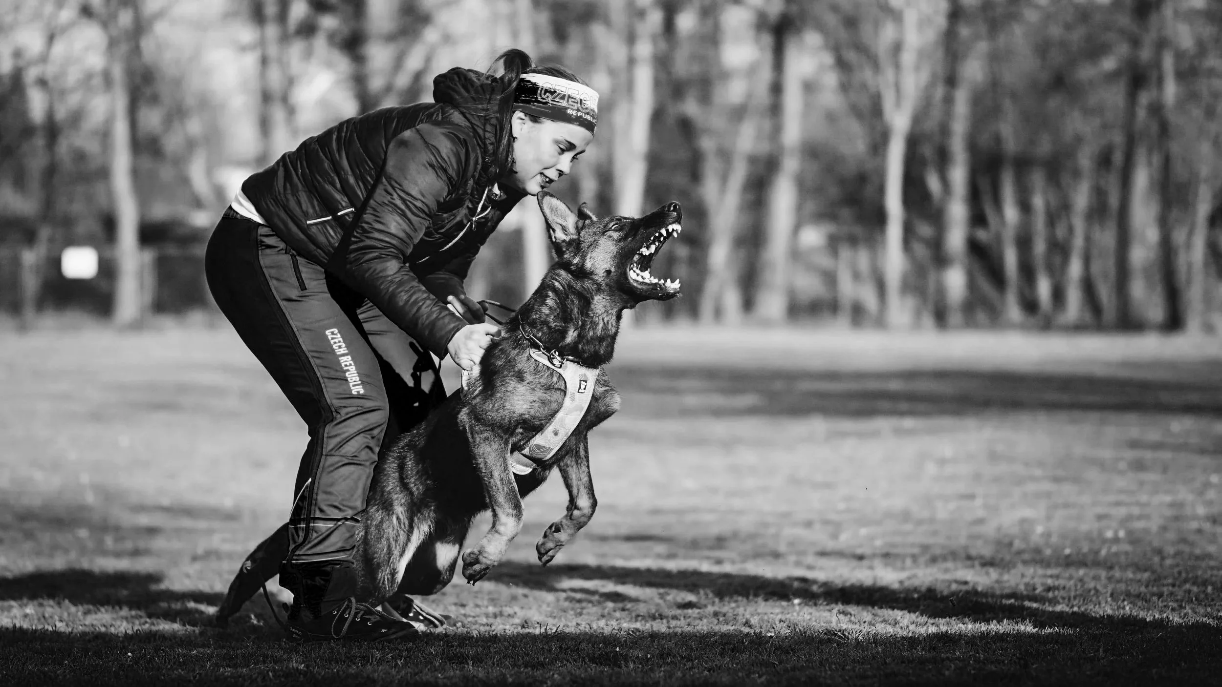 Beginner Protection Training Class