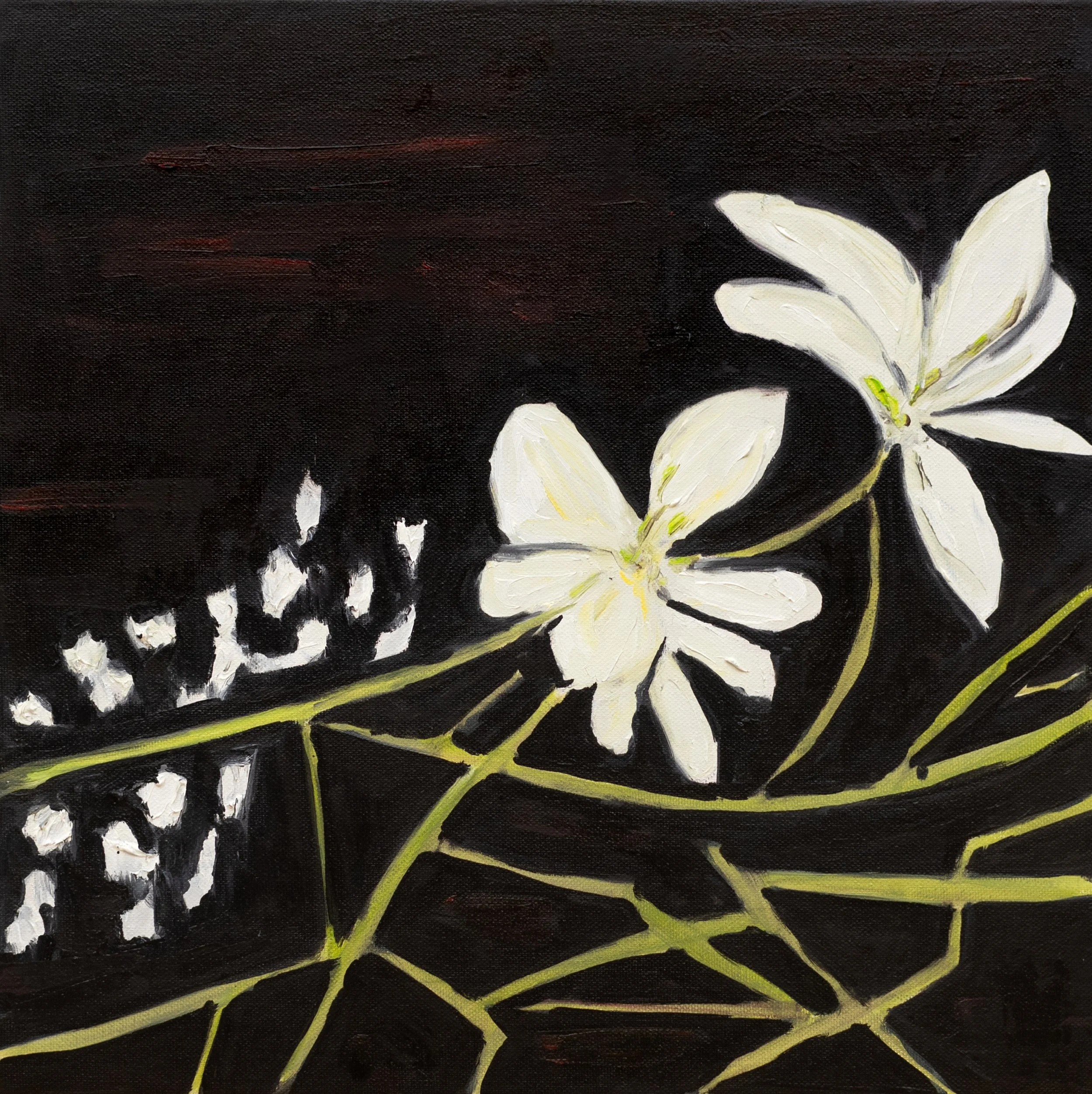 White jasmins, 2025
Oil on canvas 
15.7 x 15.7 in | 40 x 40 cm 