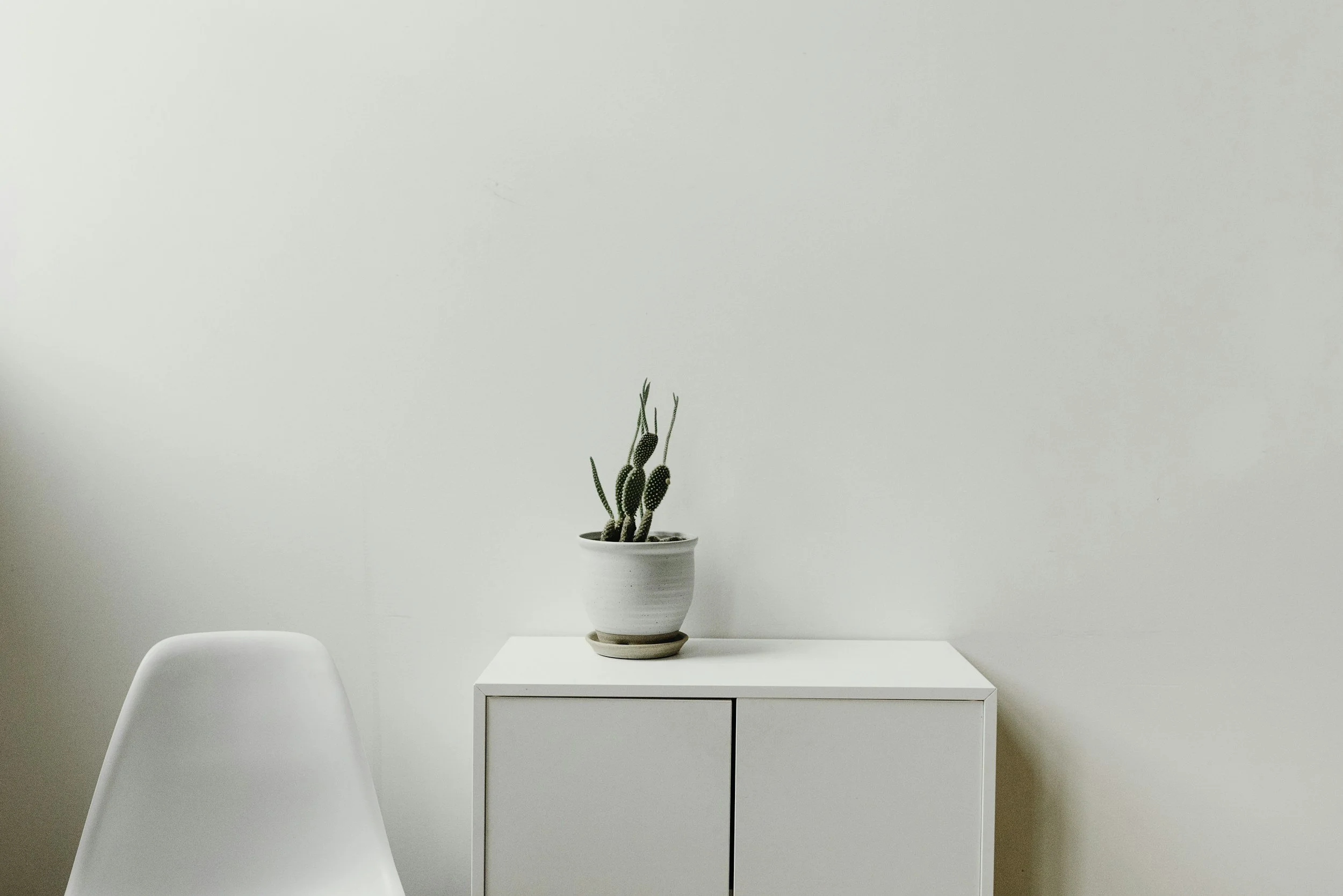 A white minimalist interior featuring a white chair, a white cabinet, and a potted cactus on top of the cabinet against a plain white wall.
