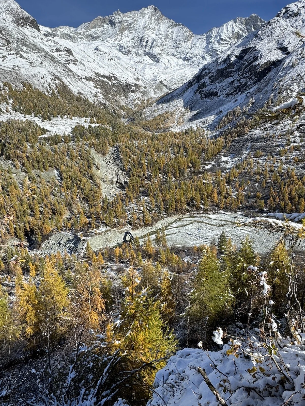 View of the Weisshorn with a valley full of yellow larches and light dusting of fresh snow