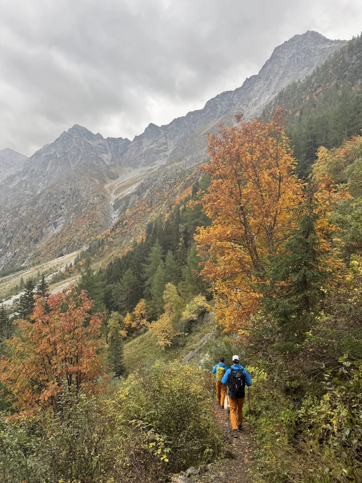 Hikers descending through fall foliage in the Alps