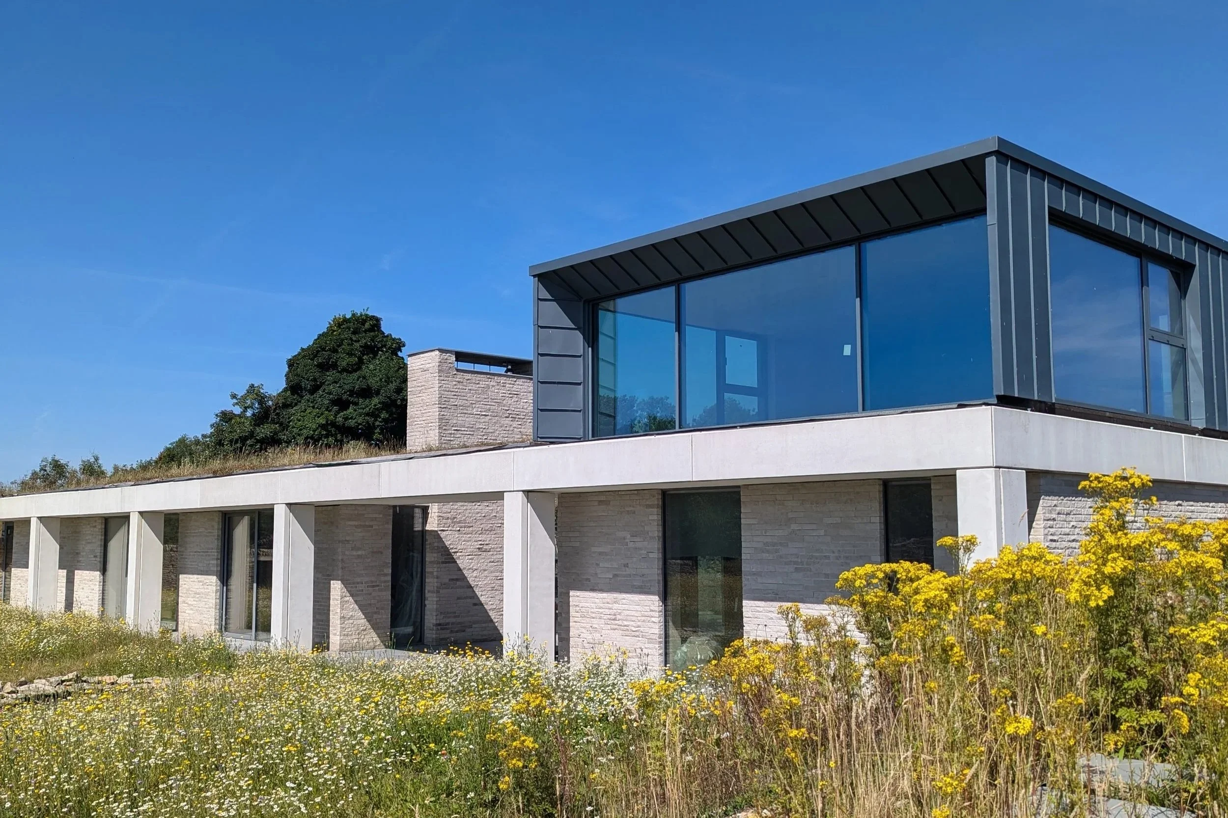 Biodiversity net gain design considerations for Hampshire residential architecture in Tobias Weaver journal