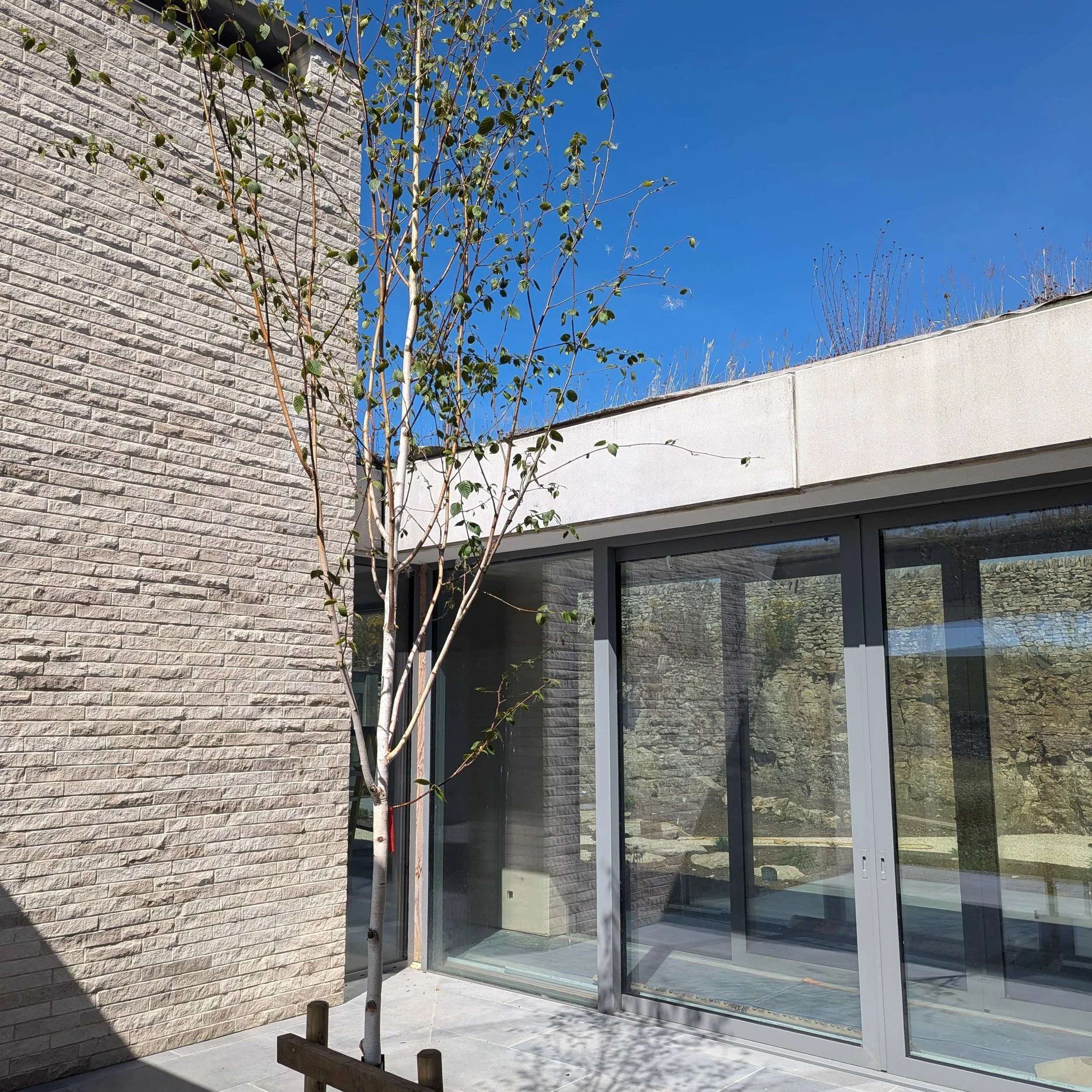 Courtyard of new-build home