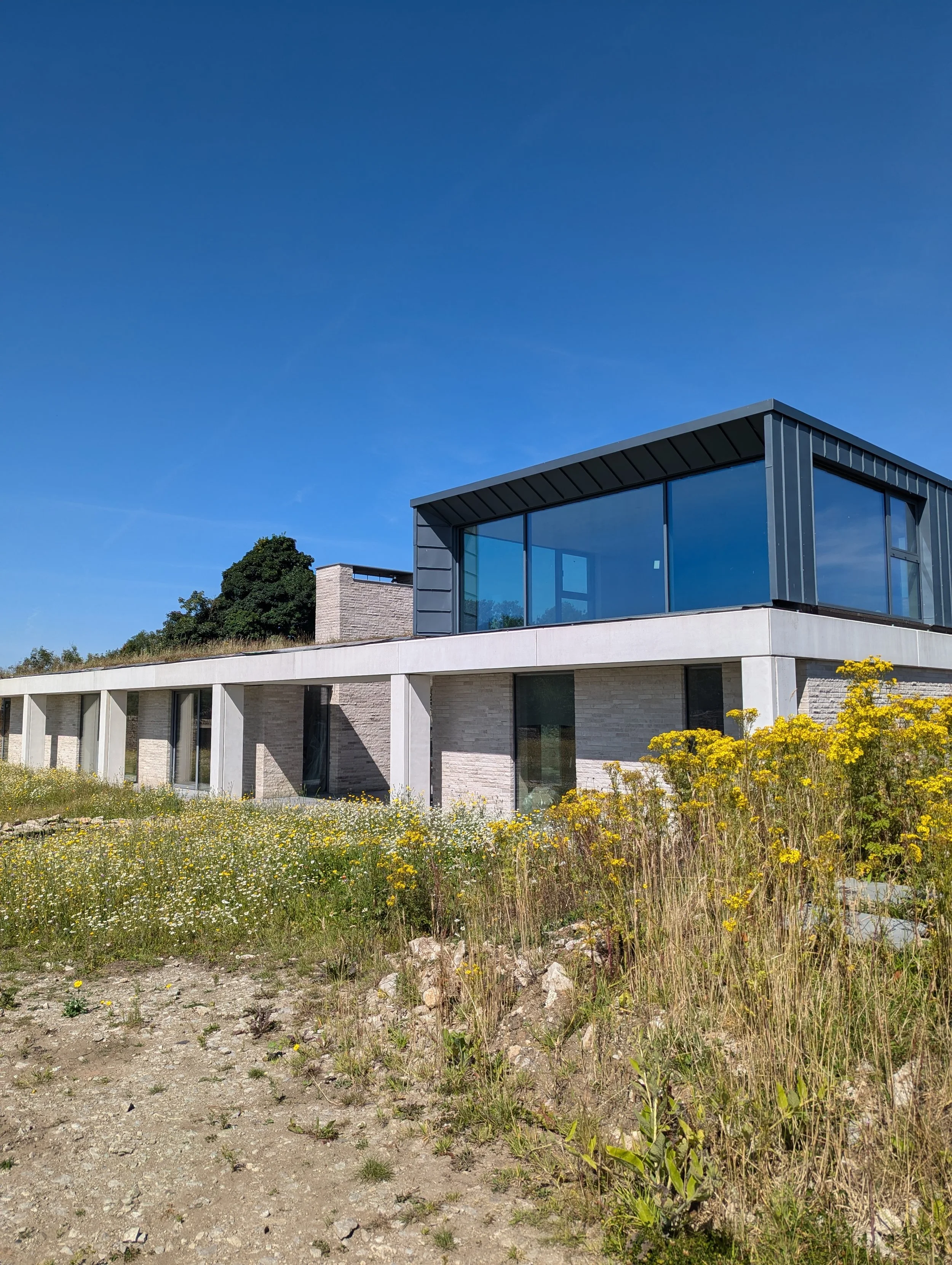 Wildflower garden at sustainable new-build house in the Peak District