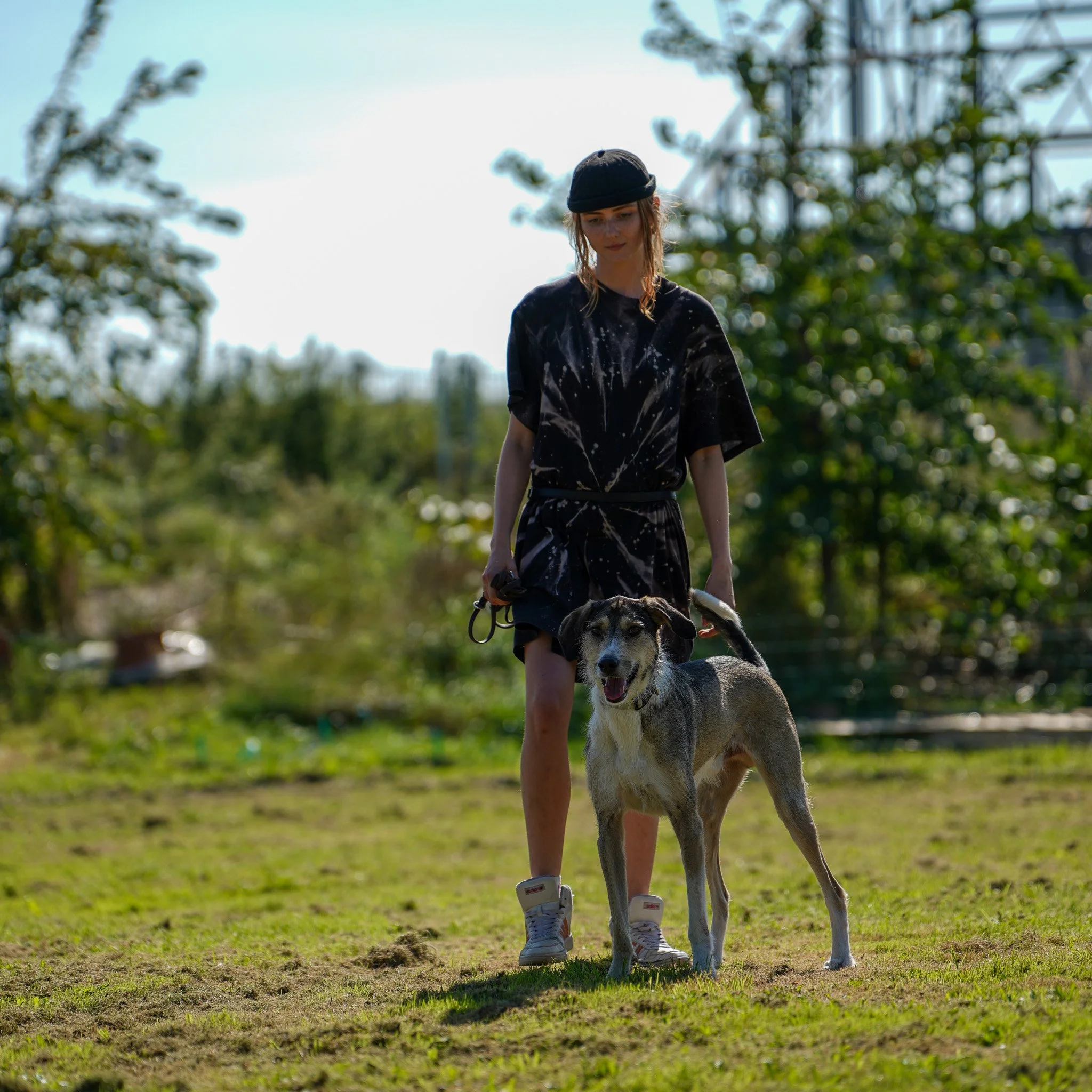 Junge Frau mit Hund im Freien an einem sonnigen Tag