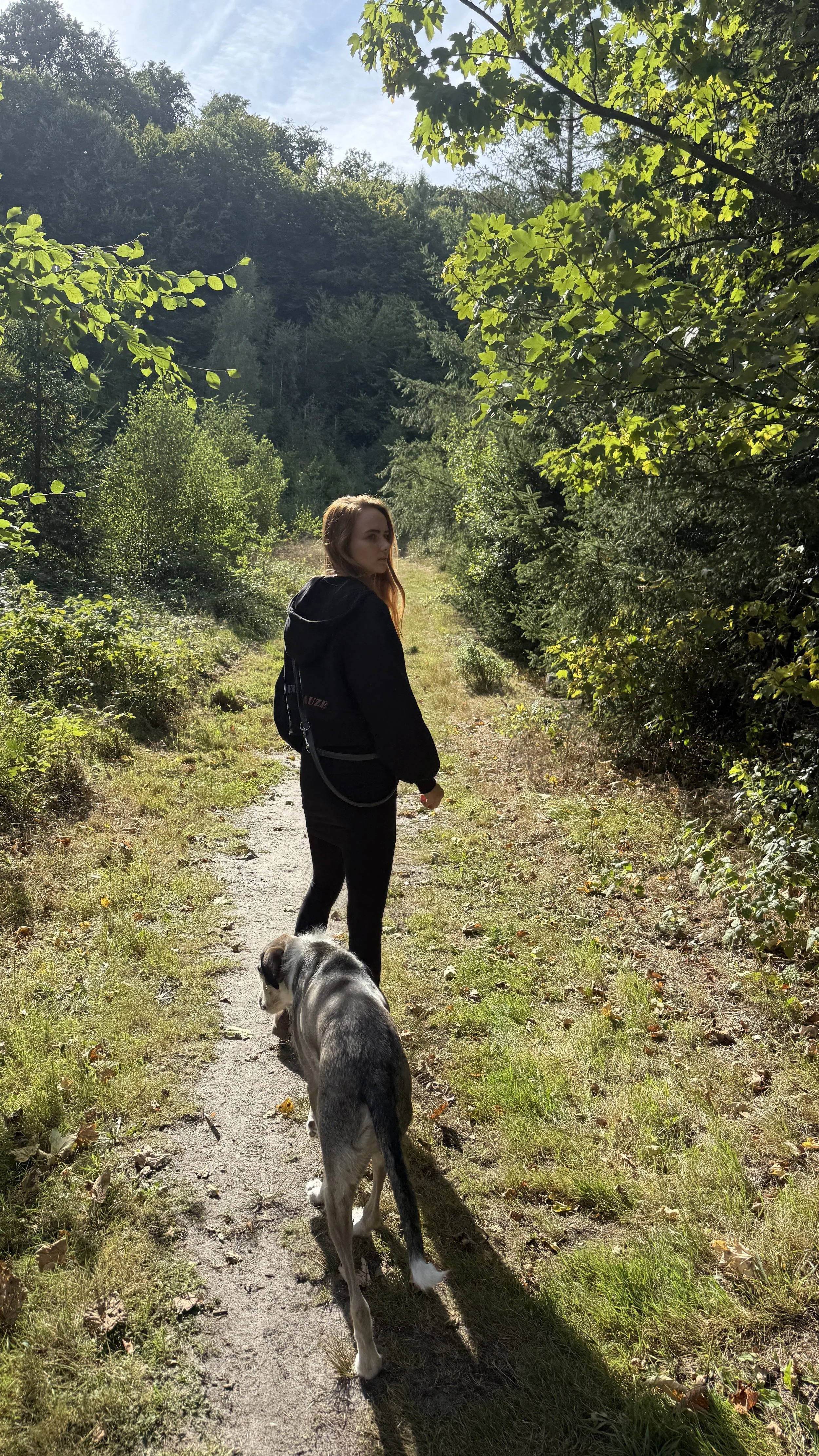 Junge Frau mit Hund auf Waldweg bei Sonnenlicht, umgeben von grünen Bäumen und Sträuchern.