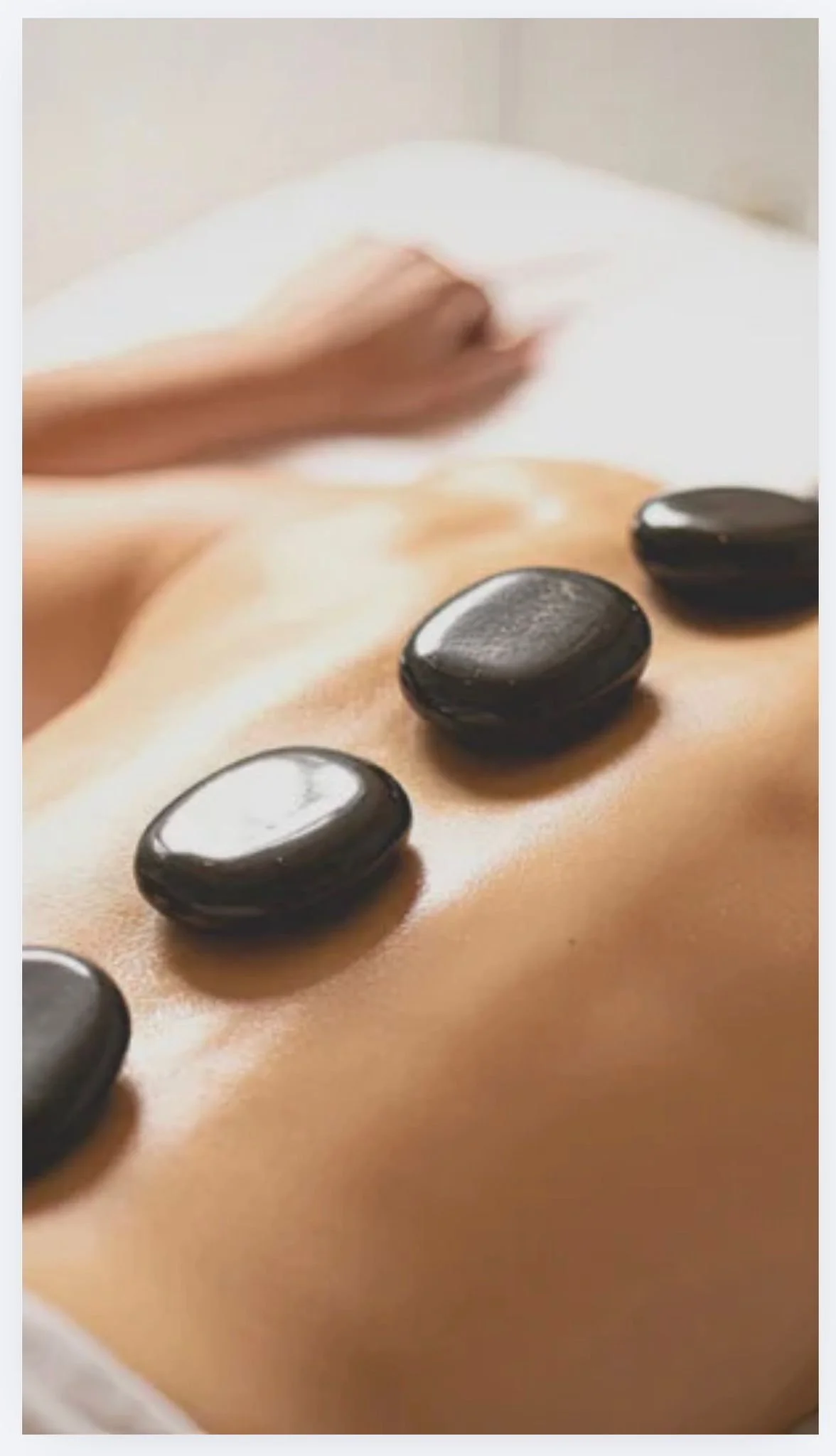 WhatsApp Image 2026-02-21 at 10.57.33.jpeg