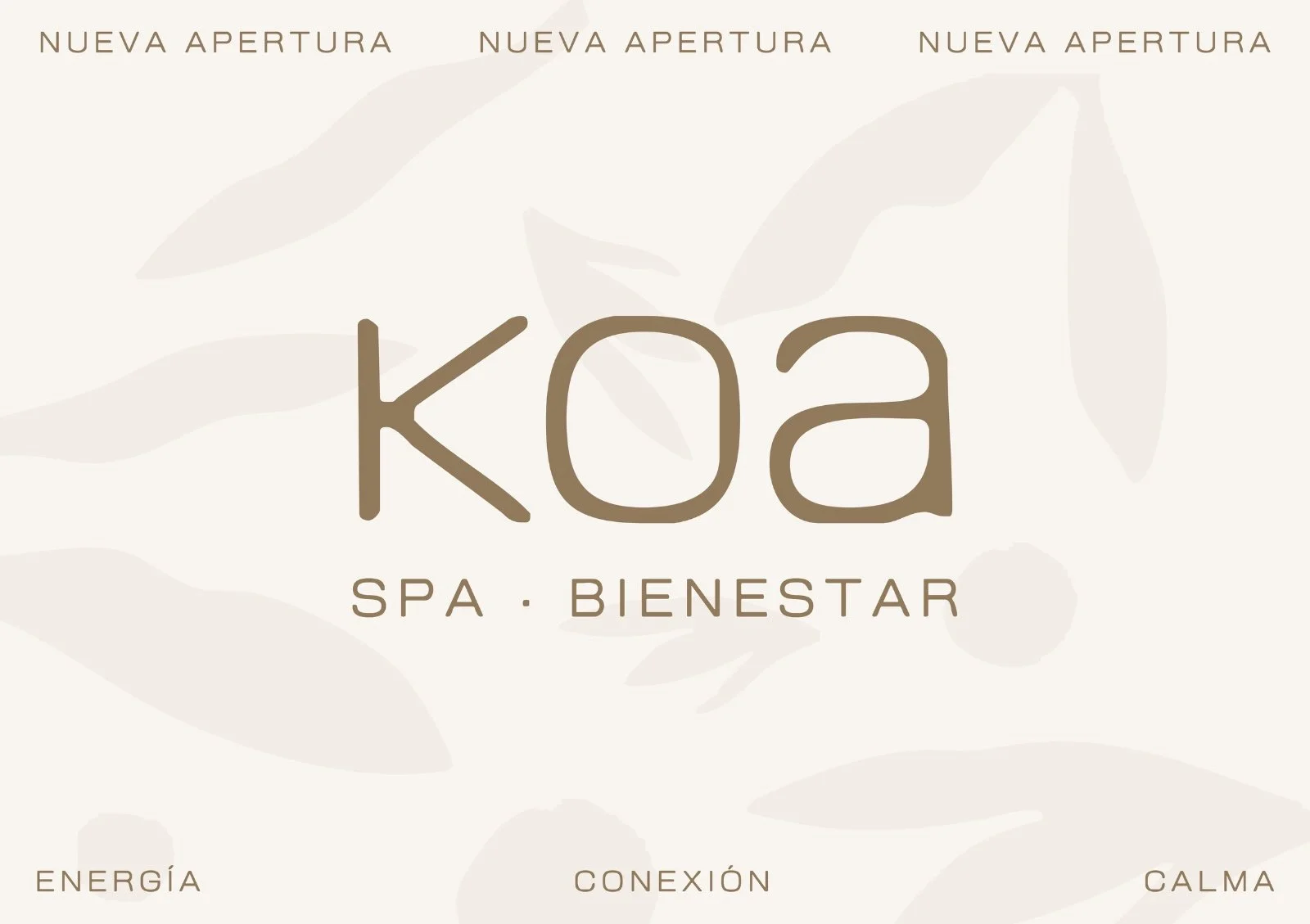 WhatsApp Image 2025-05-19 at 16.41.00.jpeg